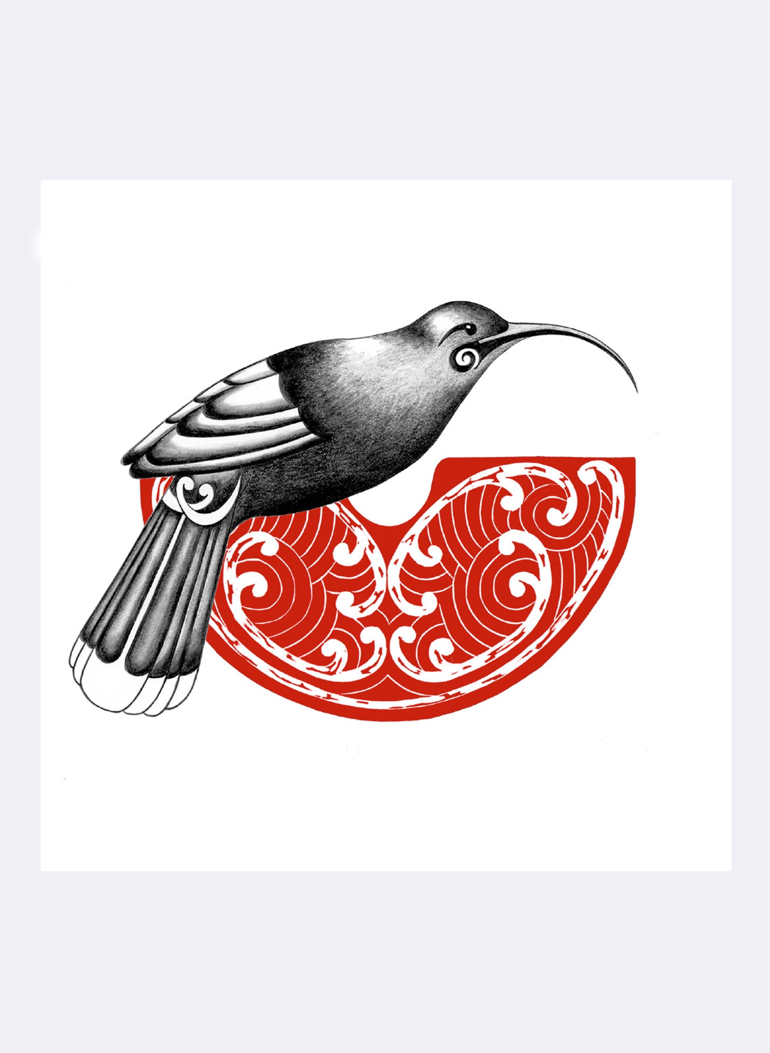 Call Of The Huia - Giclée Print