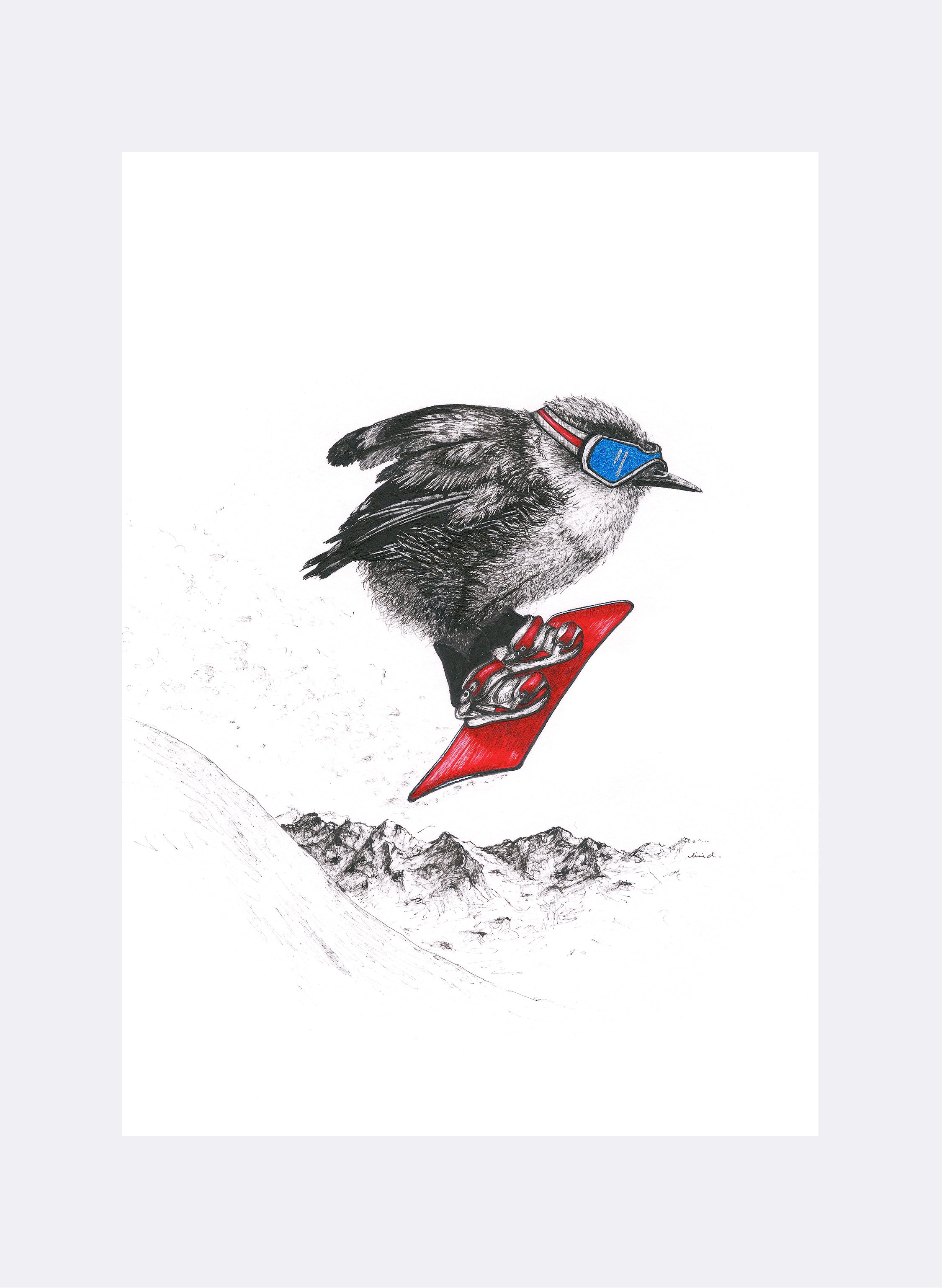 Rock Wren Snowboarding - Giclée Print