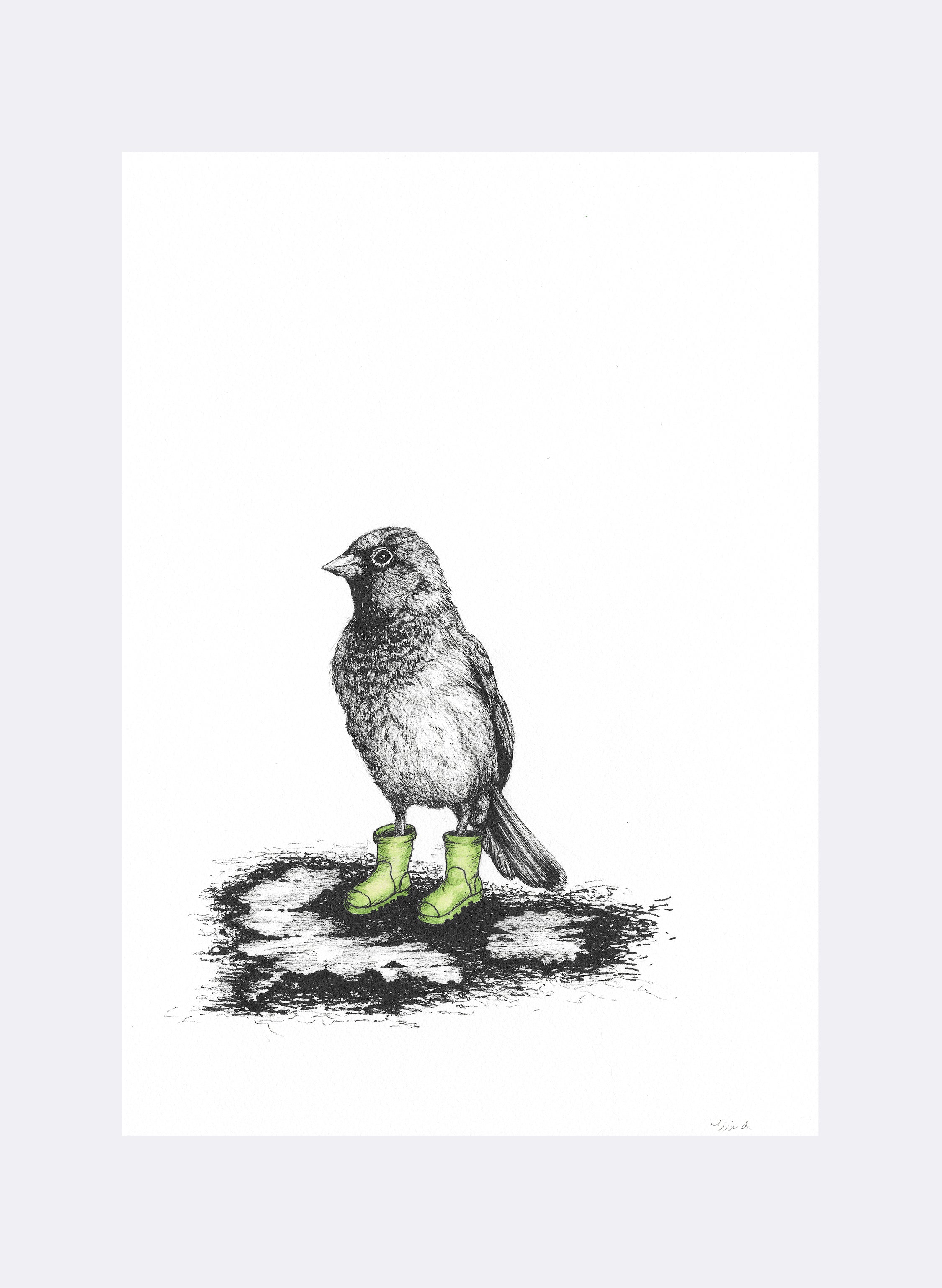 Sparrow In Gumboots - Giclée Print