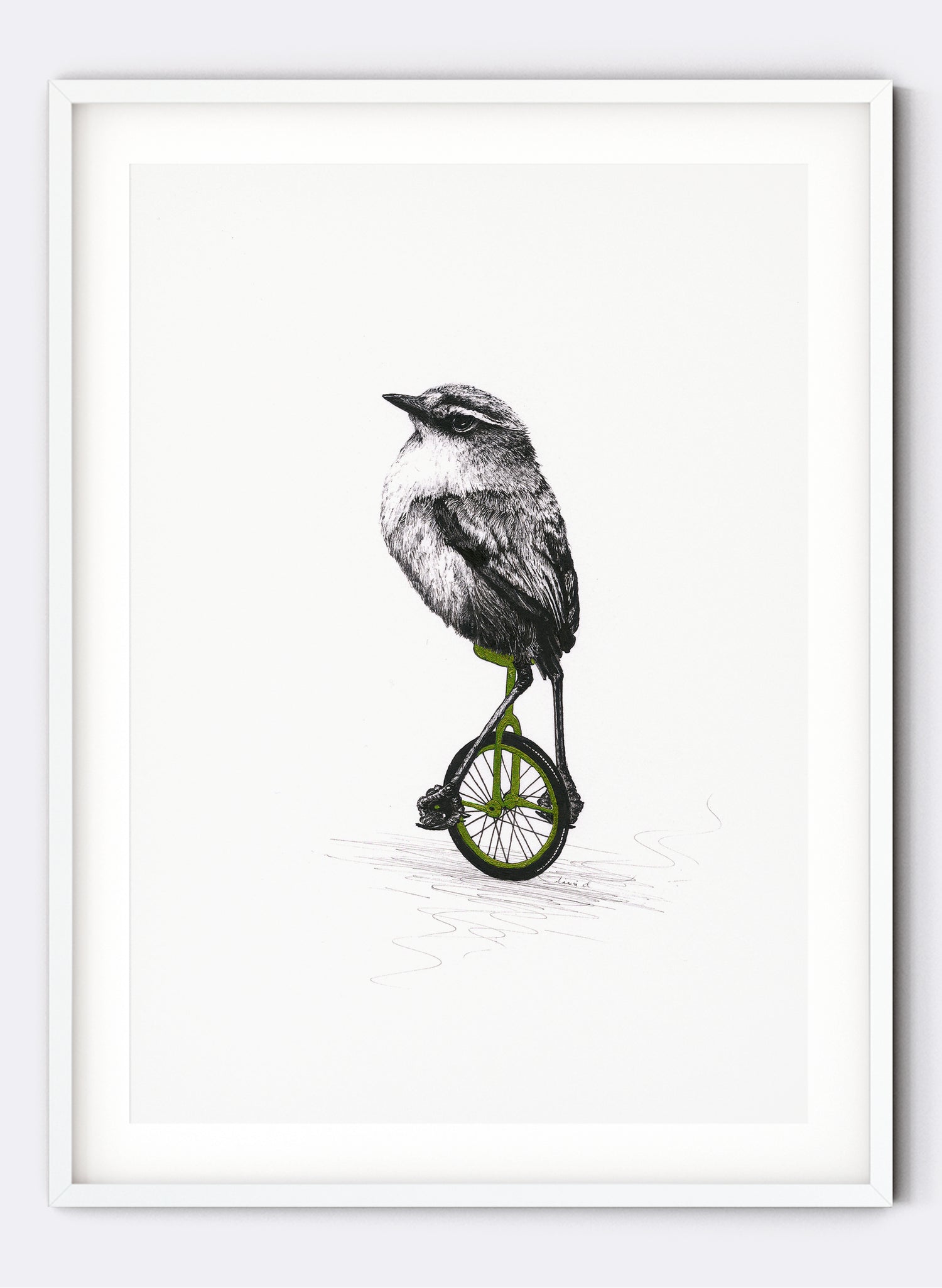 Rock Wren On A Unicycle - Giclée Print