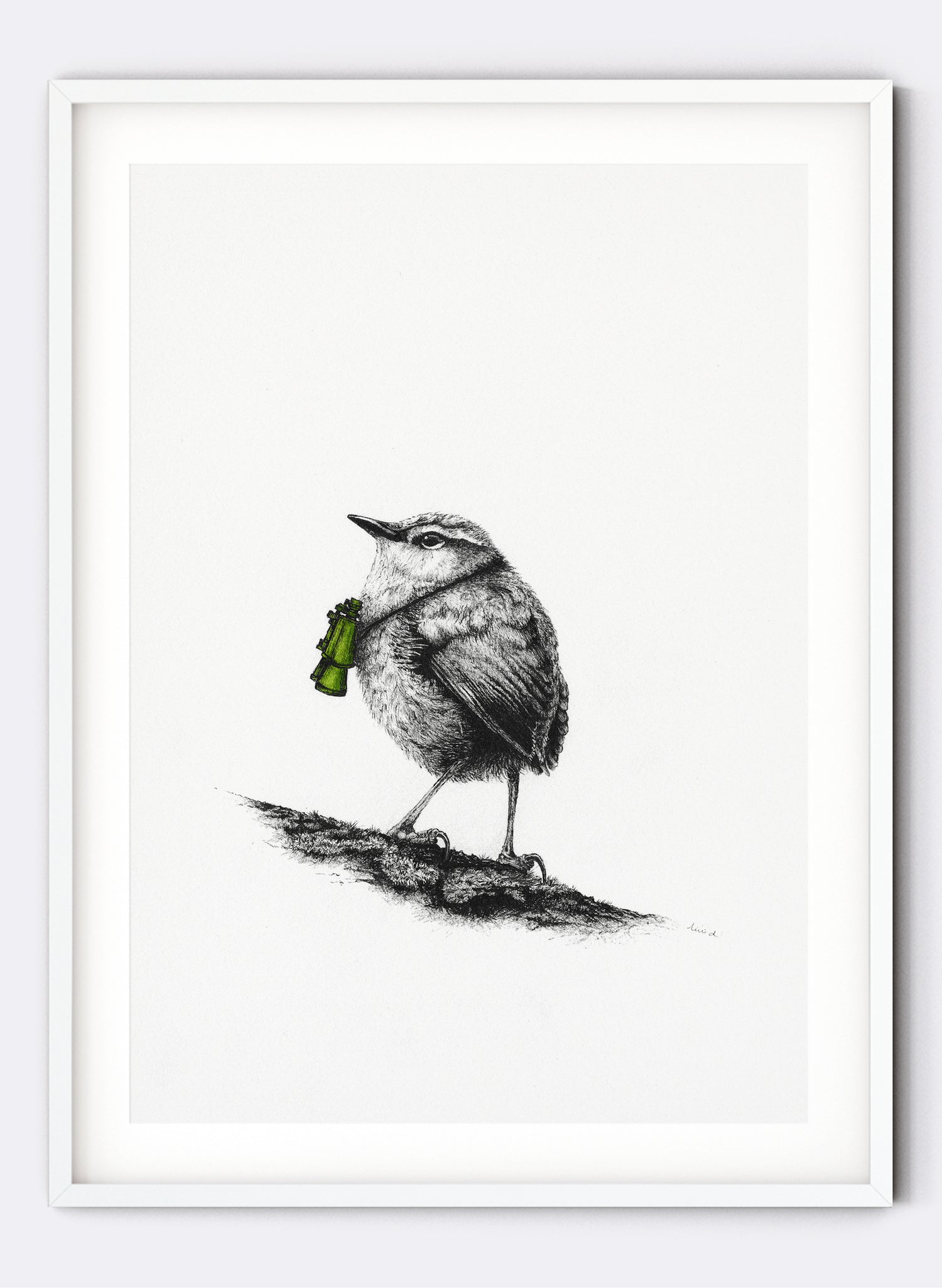 Rock Wren w/ Binoculars - Giclée Print