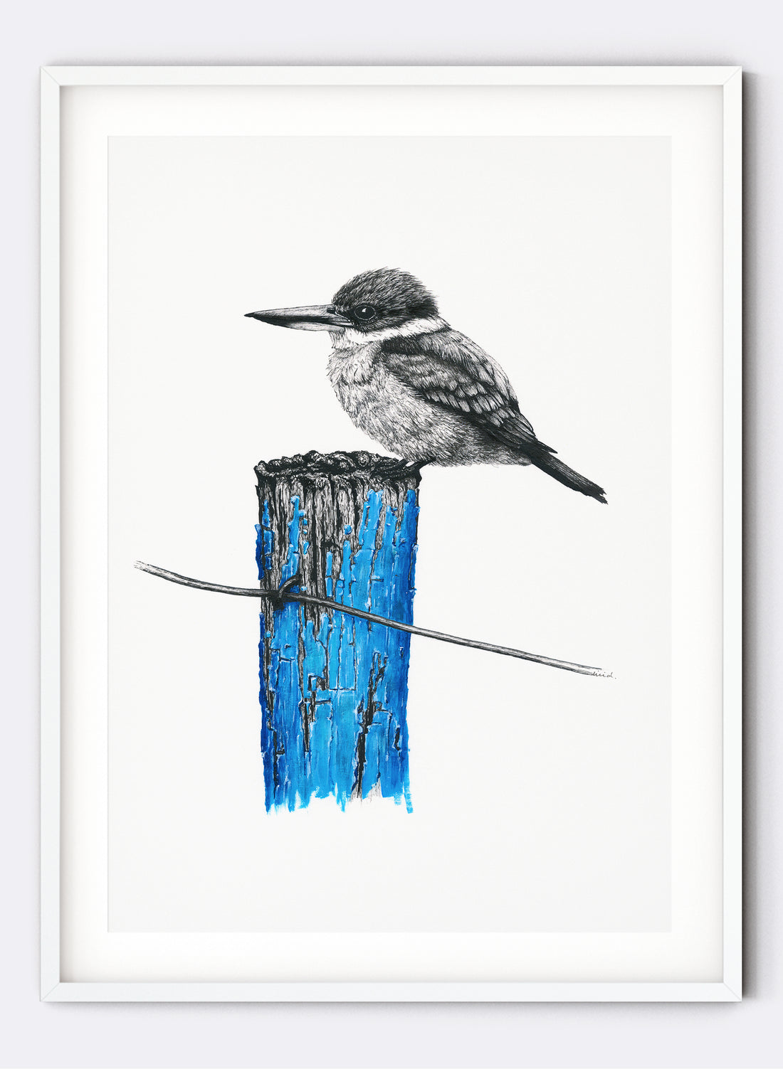 Sacred Kingfisher - Giclée Print