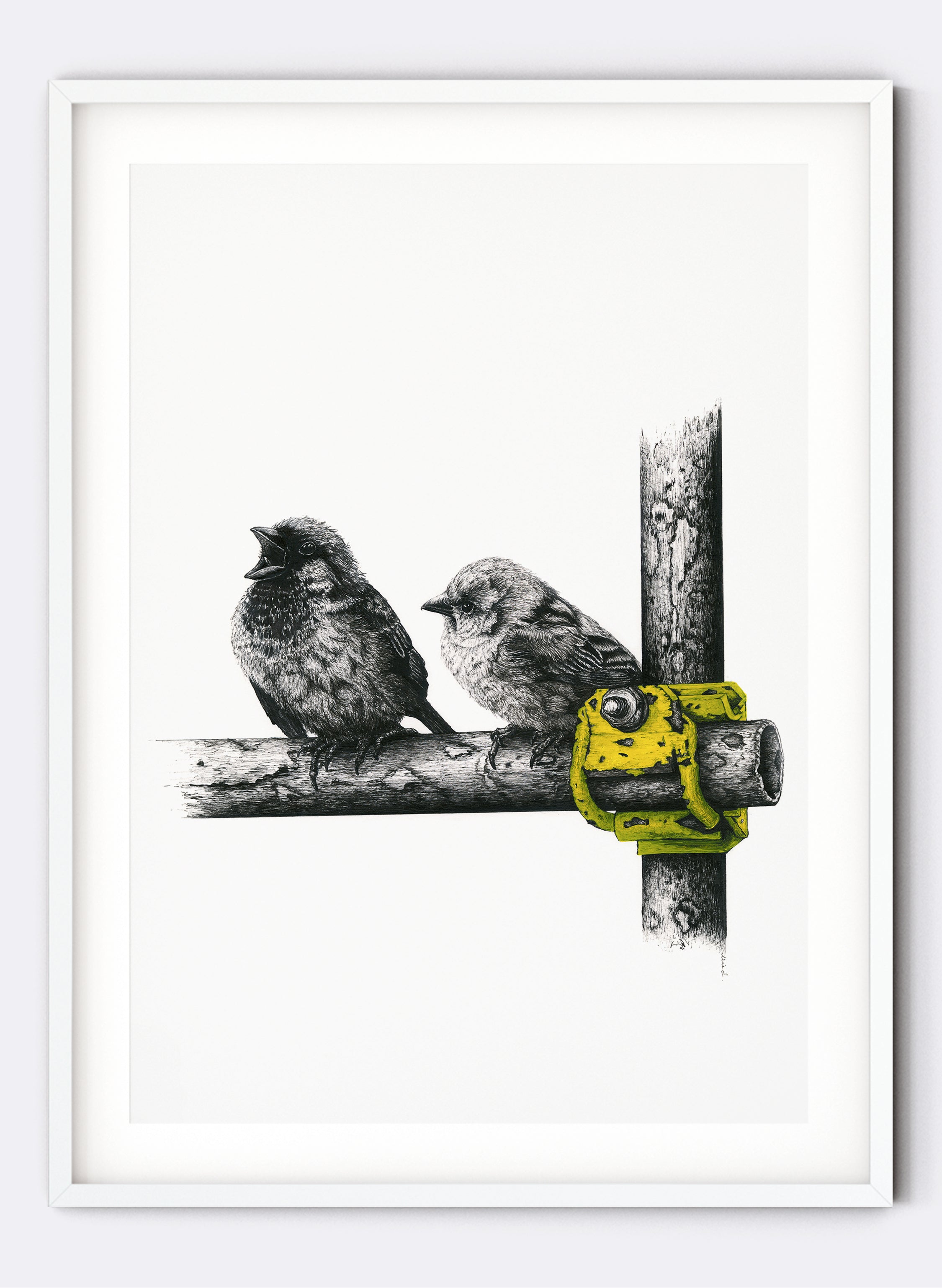 Sparrows - &quot;Seriously!?!&quot; - Giclée Print
