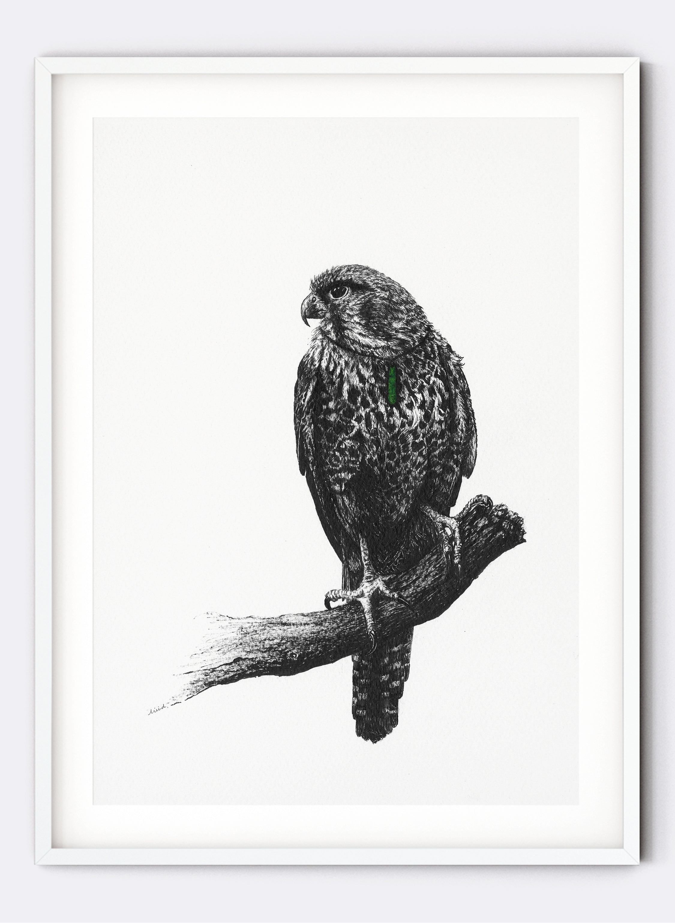 Falcon w/ Pounamu - Giclée Print