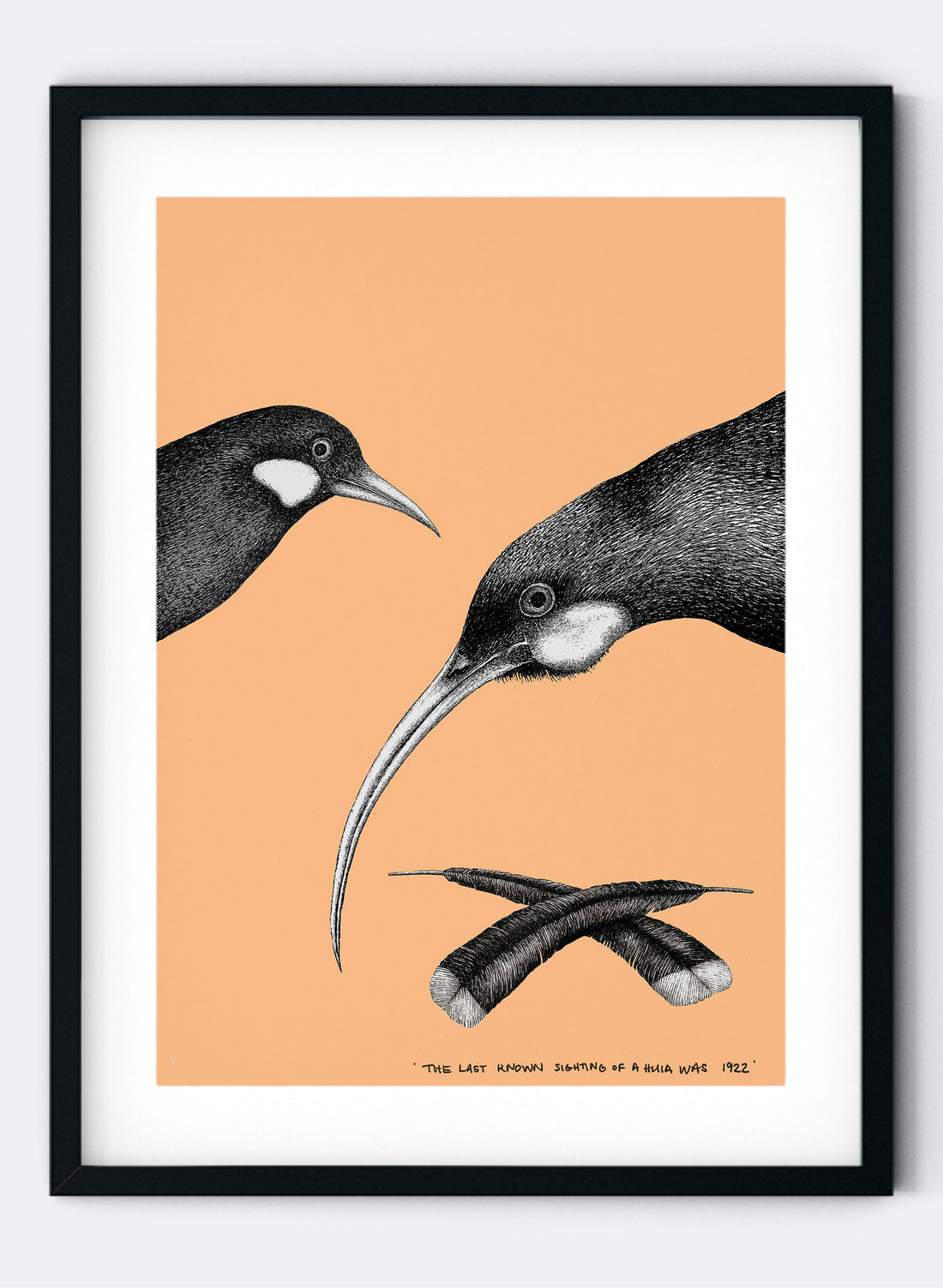 Huia (Salmon) - Digital Print