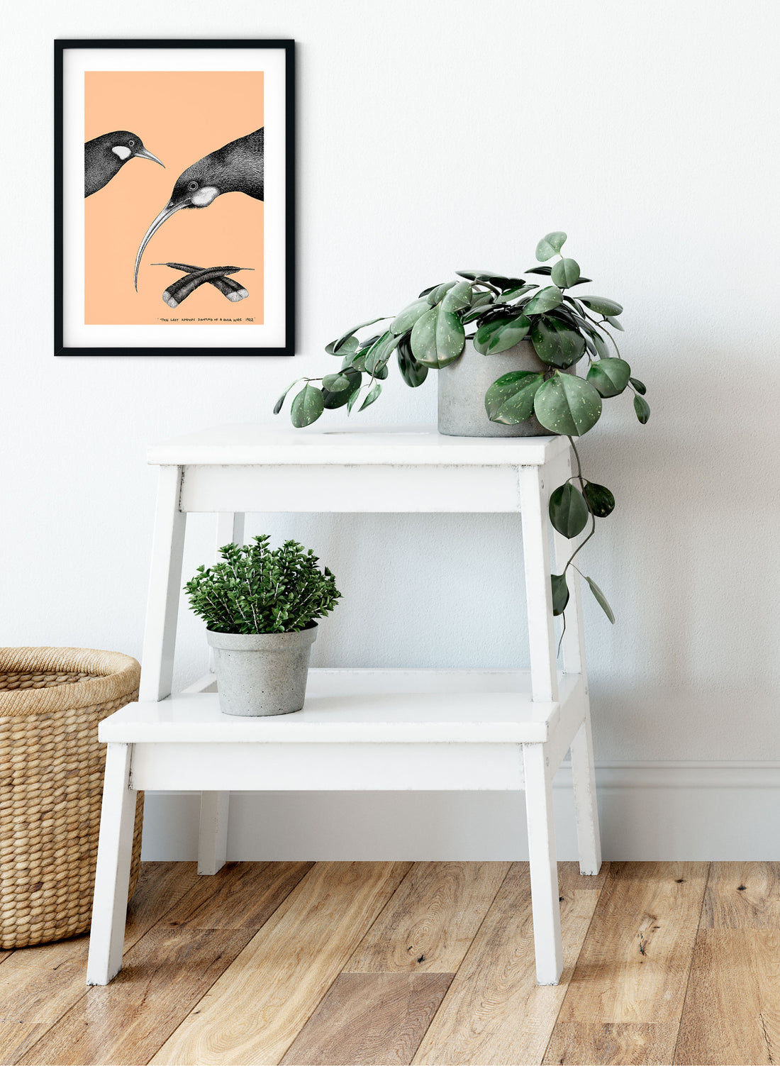Huia (Salmon) - Digital Print