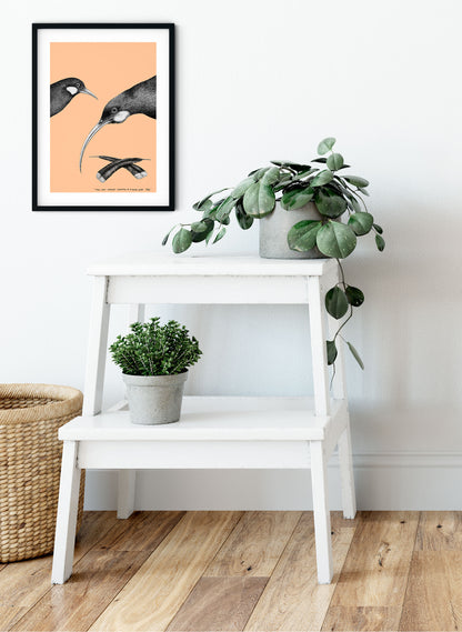 Huia (Salmon) - Digital Print