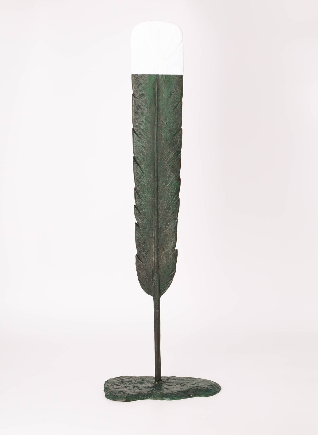 Huia Feather - 630mm