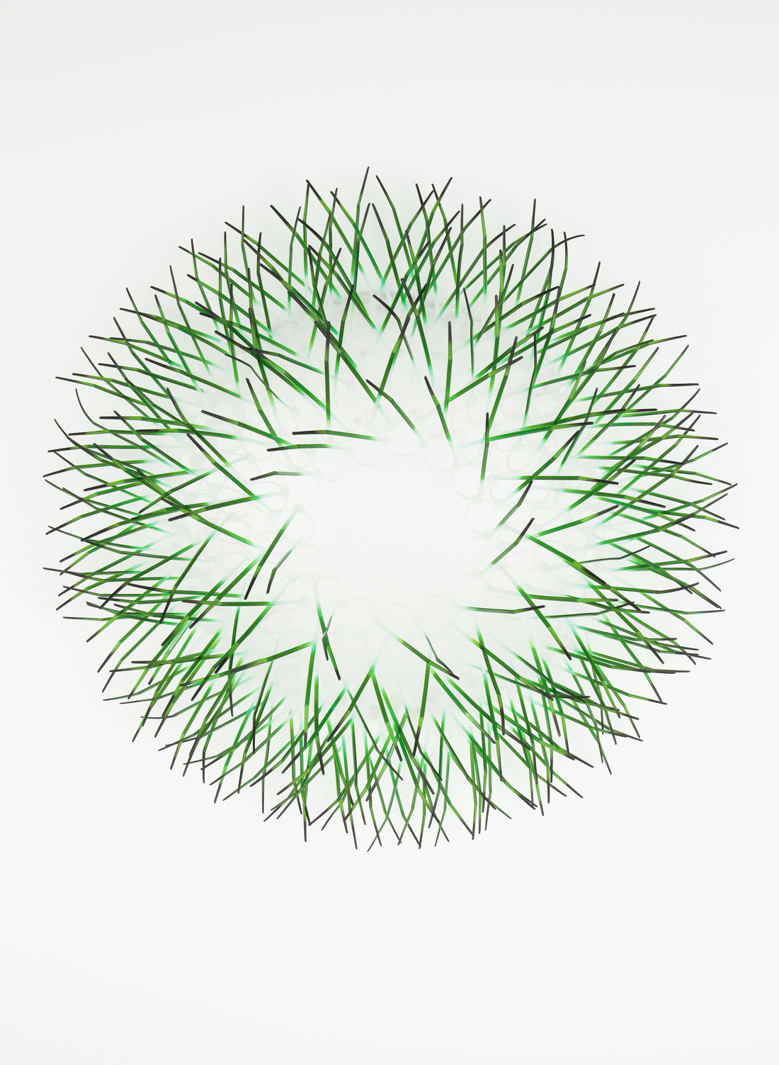 Large Kina - Green
