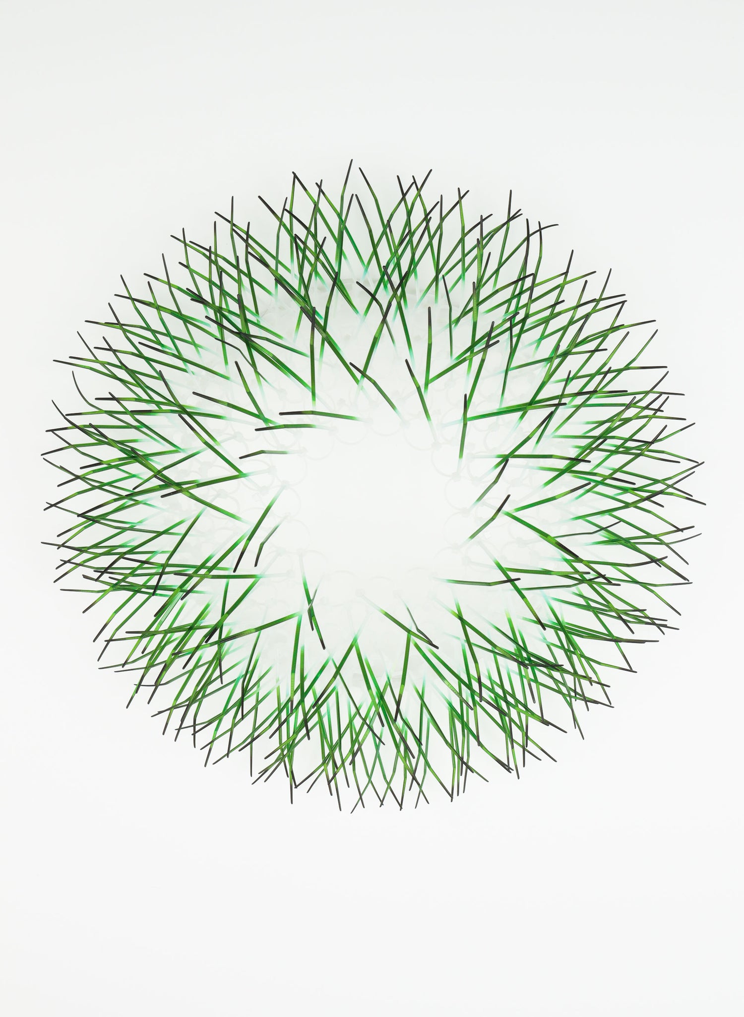 Large Kina - Green