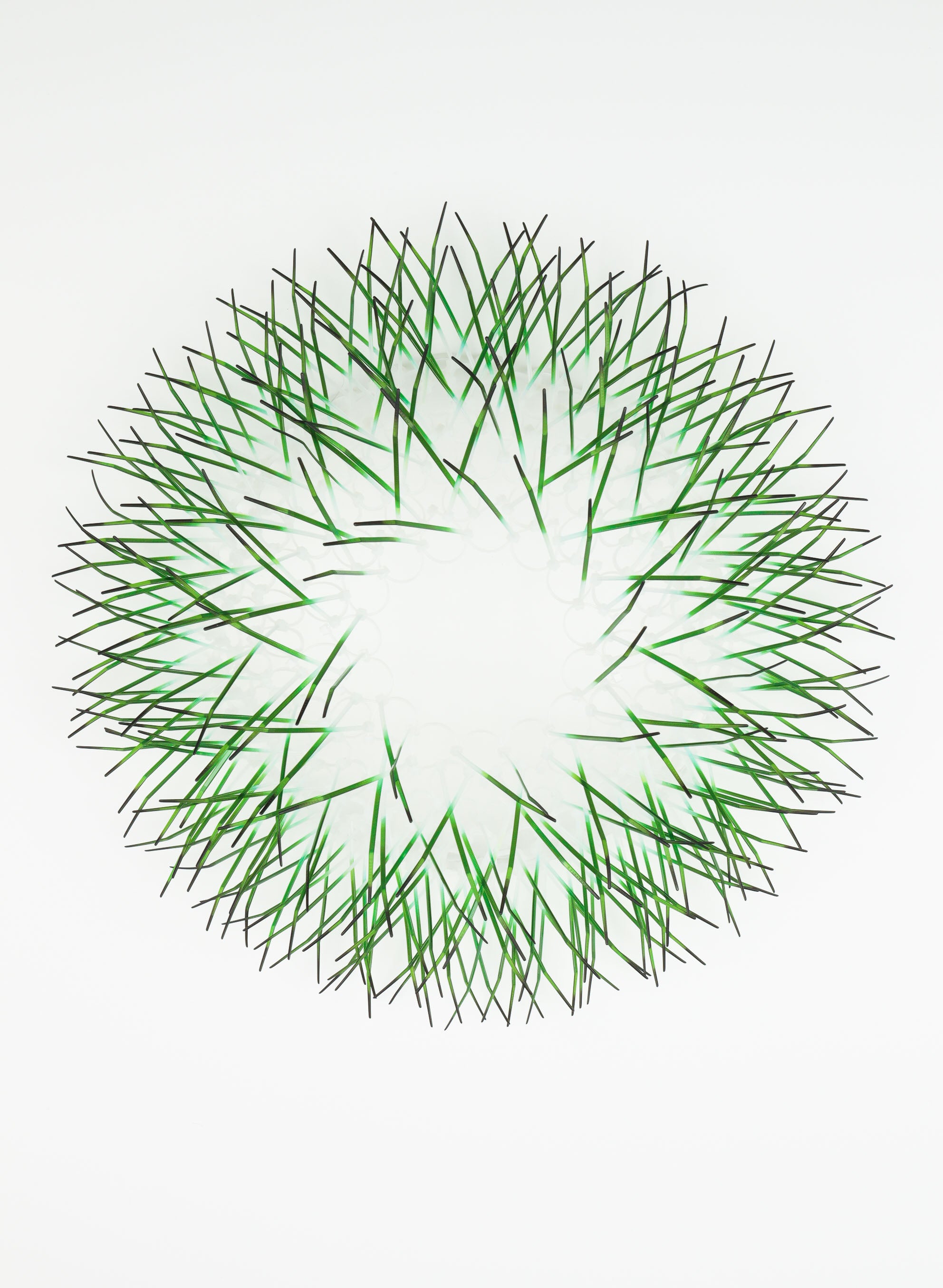 Large Kina - Green