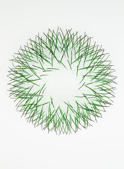 Large Kina - Green