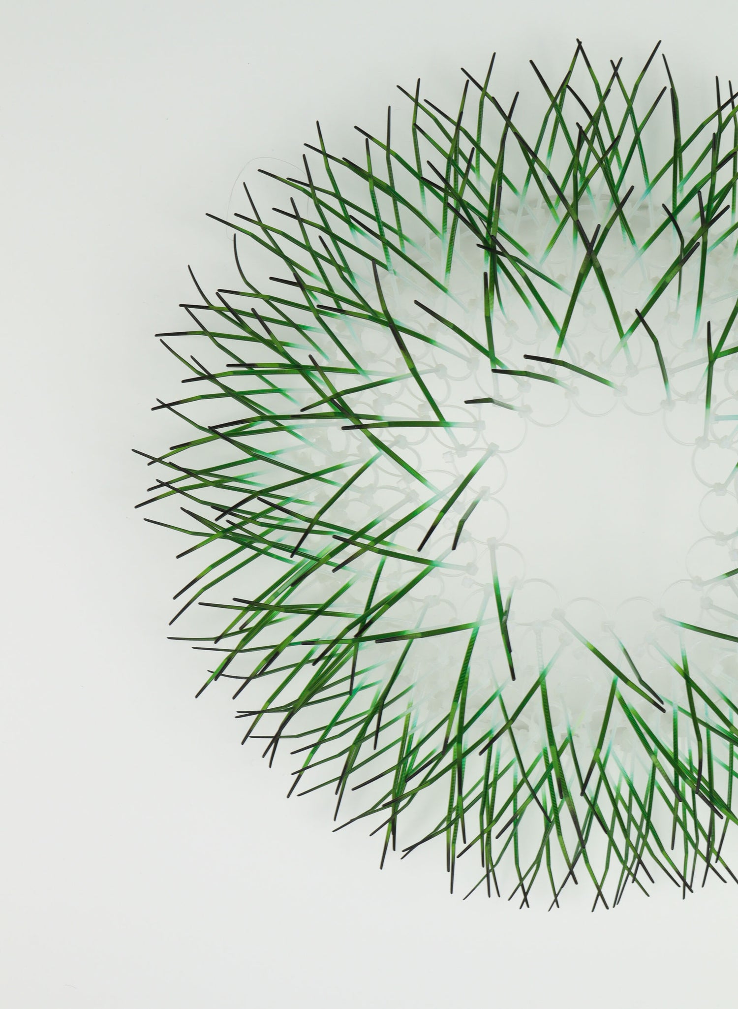 Large Kina - Green