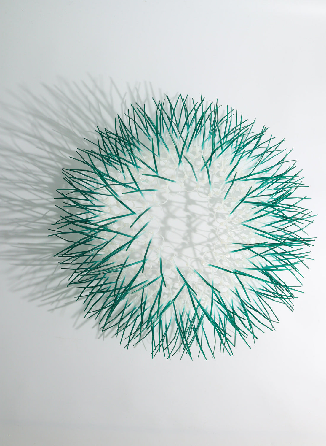 Large Kina - Teal