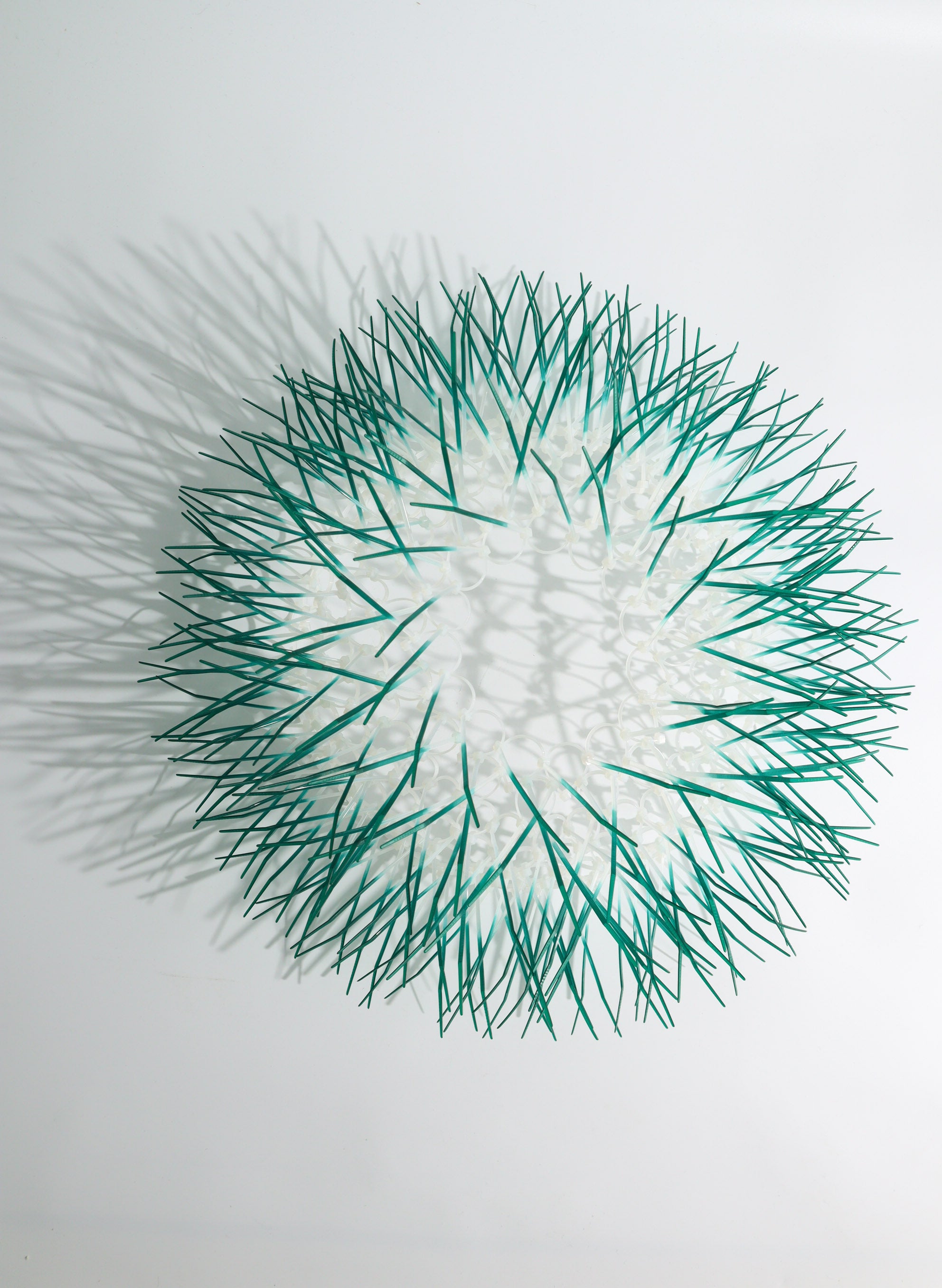 Large Kina - Teal