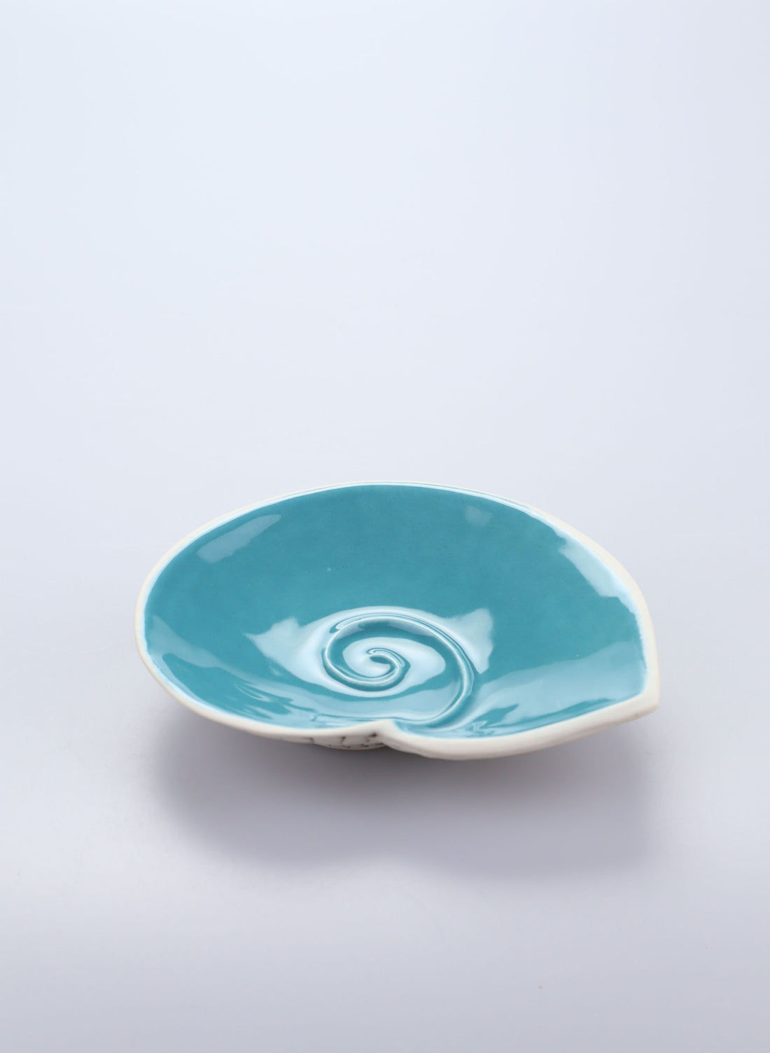 Small Nautilus Plate - Aqua