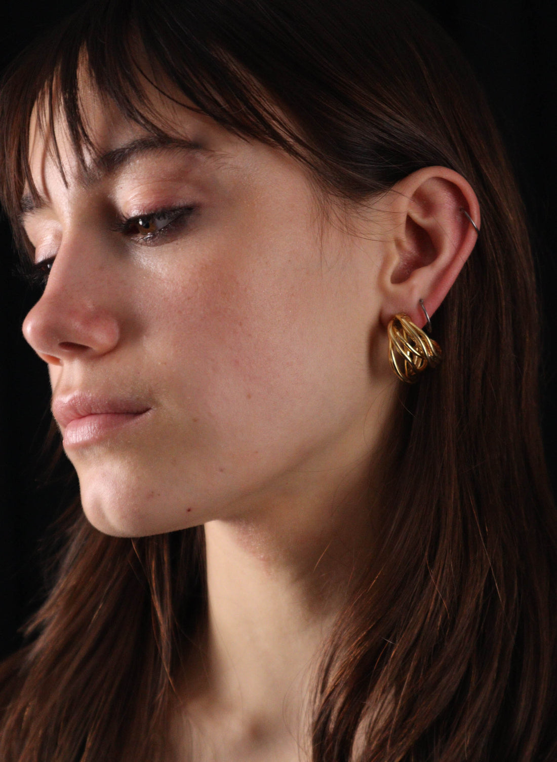 Squiggle Earrings