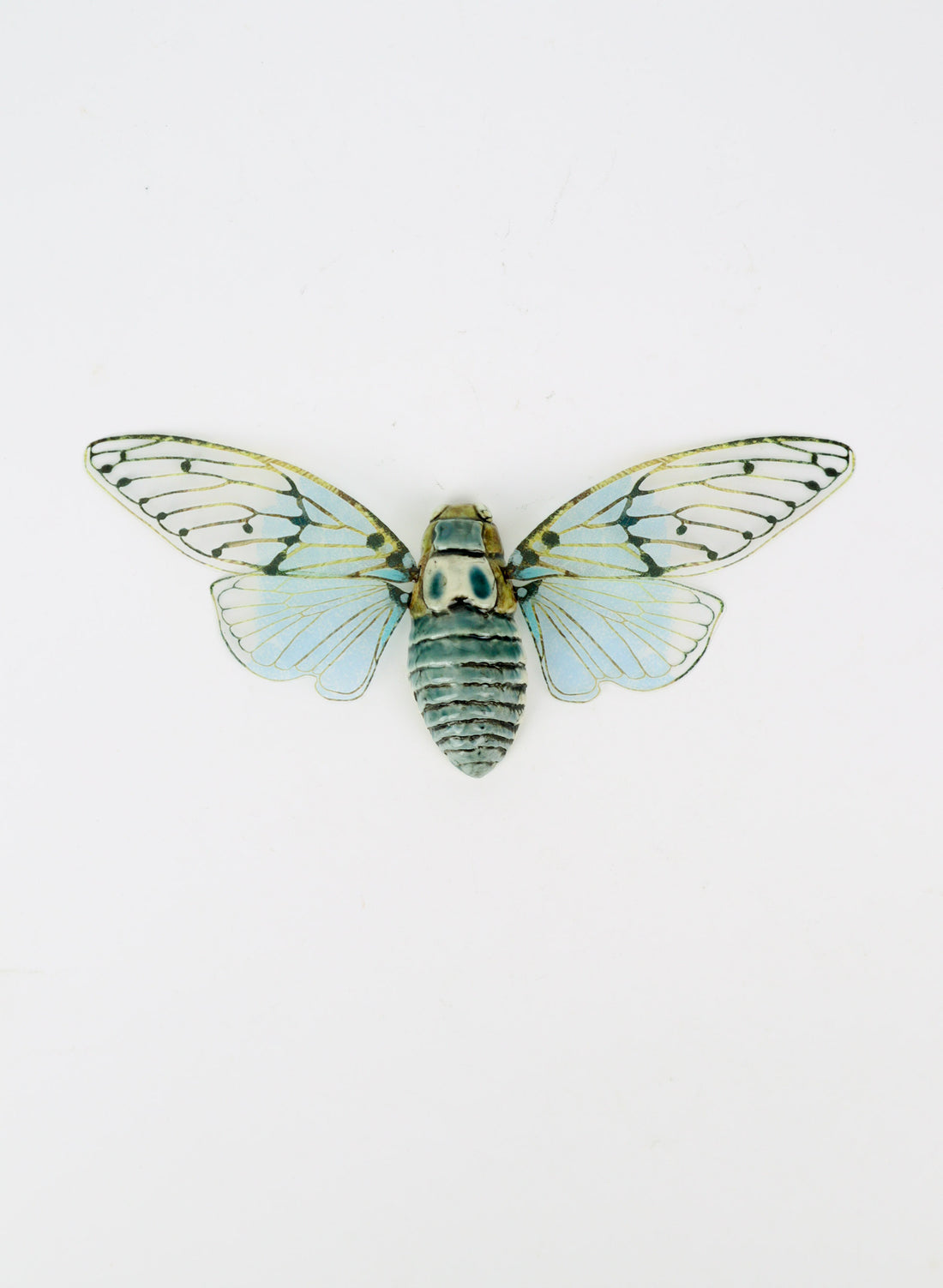 Ceramic Cicada - Blue &amp; Brownl