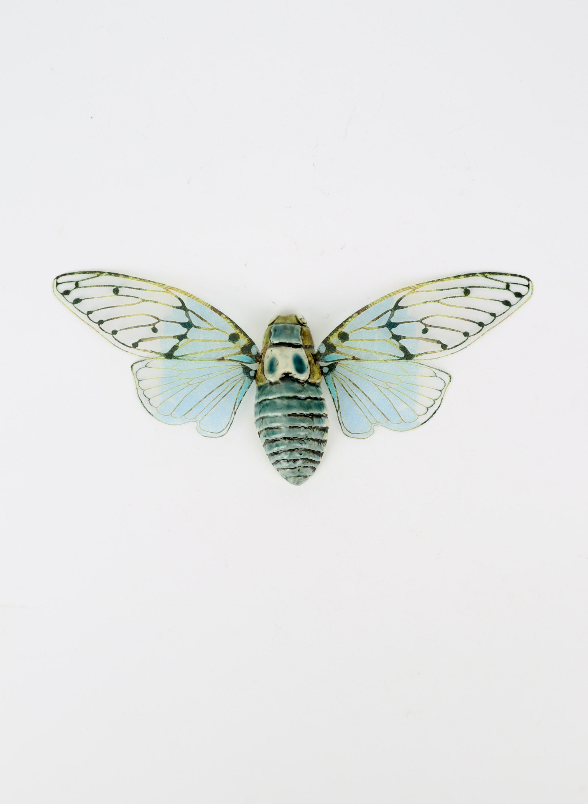 Ceramic Cicada - Blue &amp; Brownl