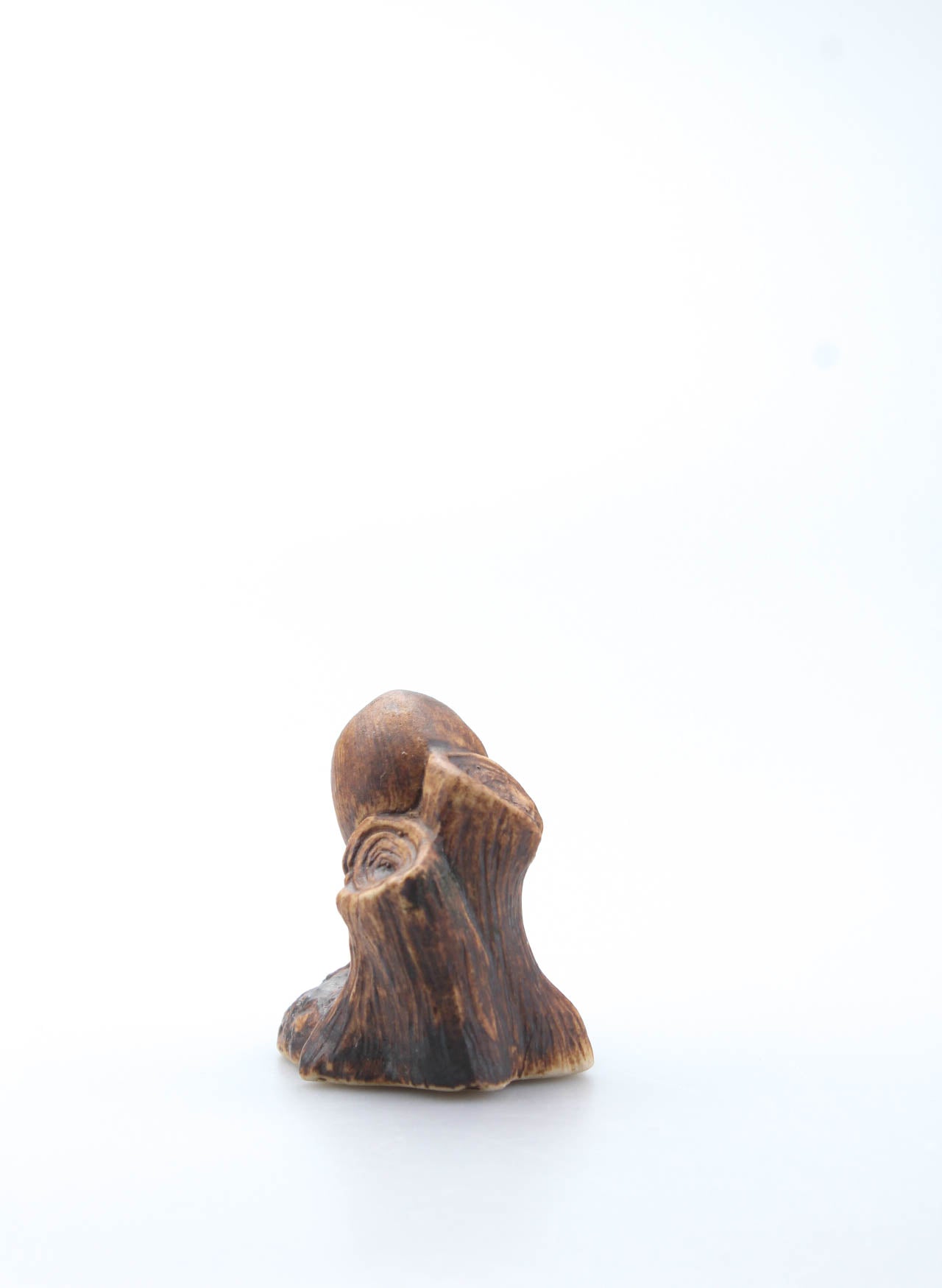 Ceramic Kiwi
