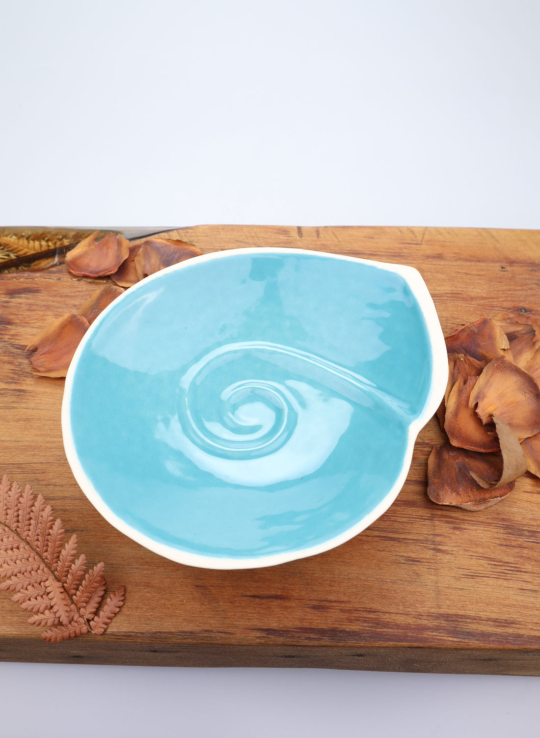 Medium Nautilus Plate - Aqua