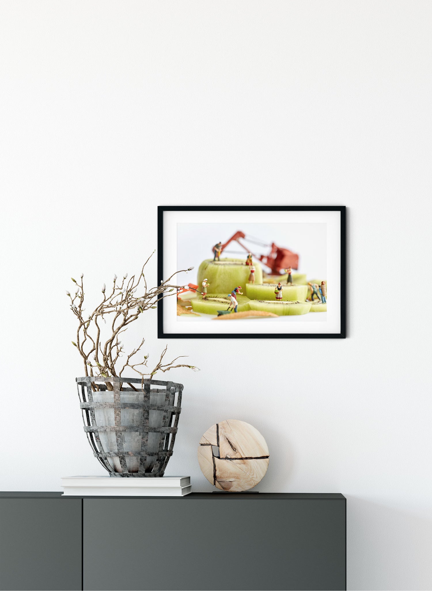Kiwifruit Harvest - Photographic Print