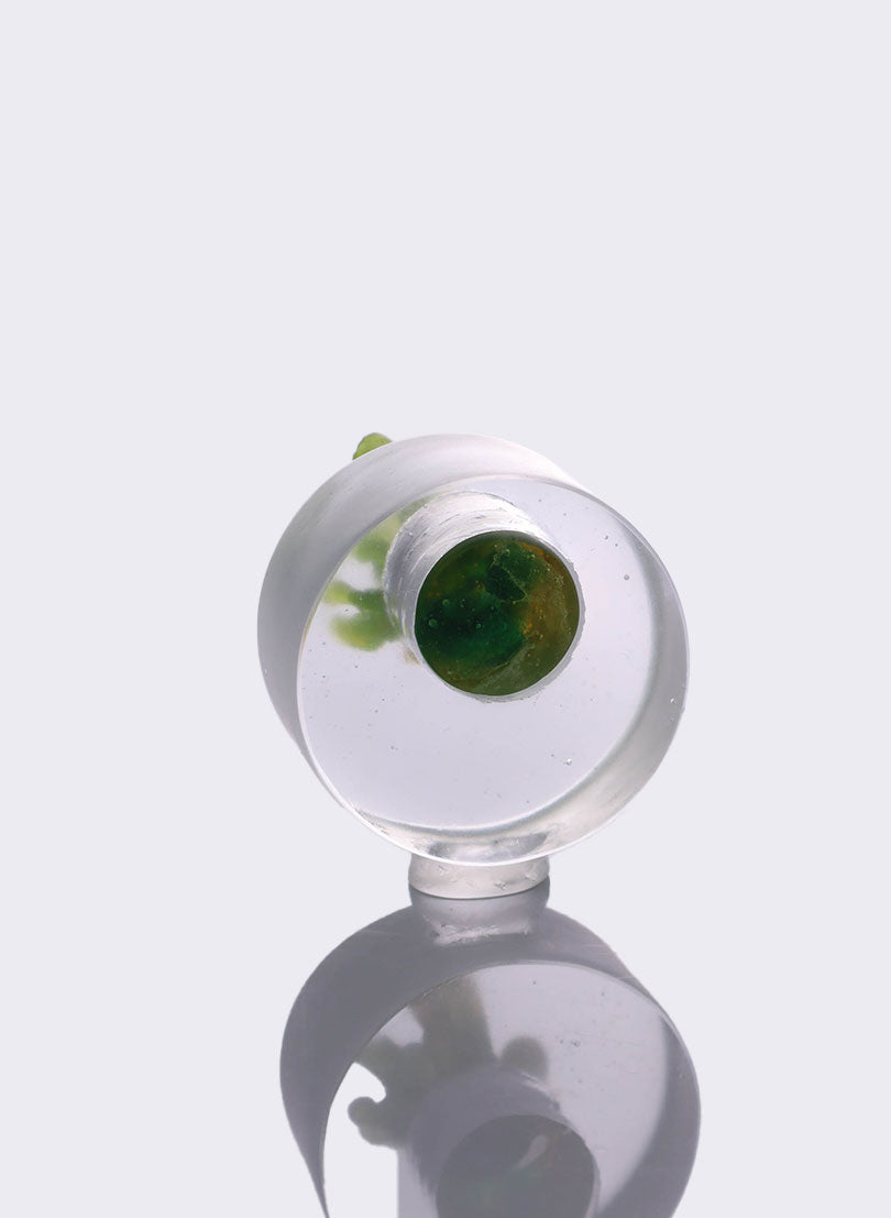 Succulent - Clear and Green