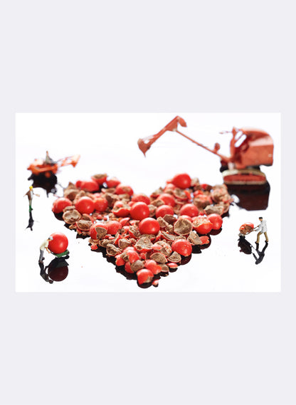 Love is Smashing - Photographic Print