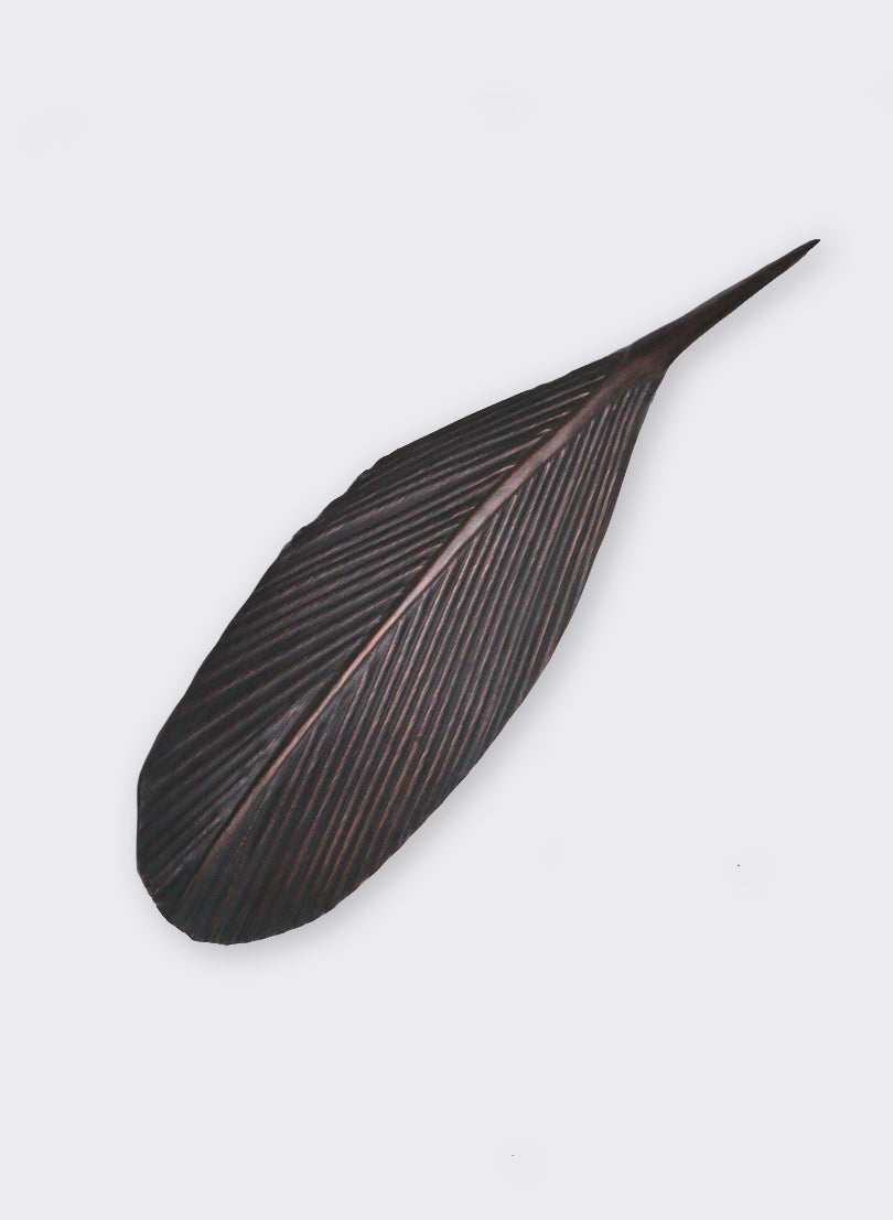 Karearea Copper Feather 530mm