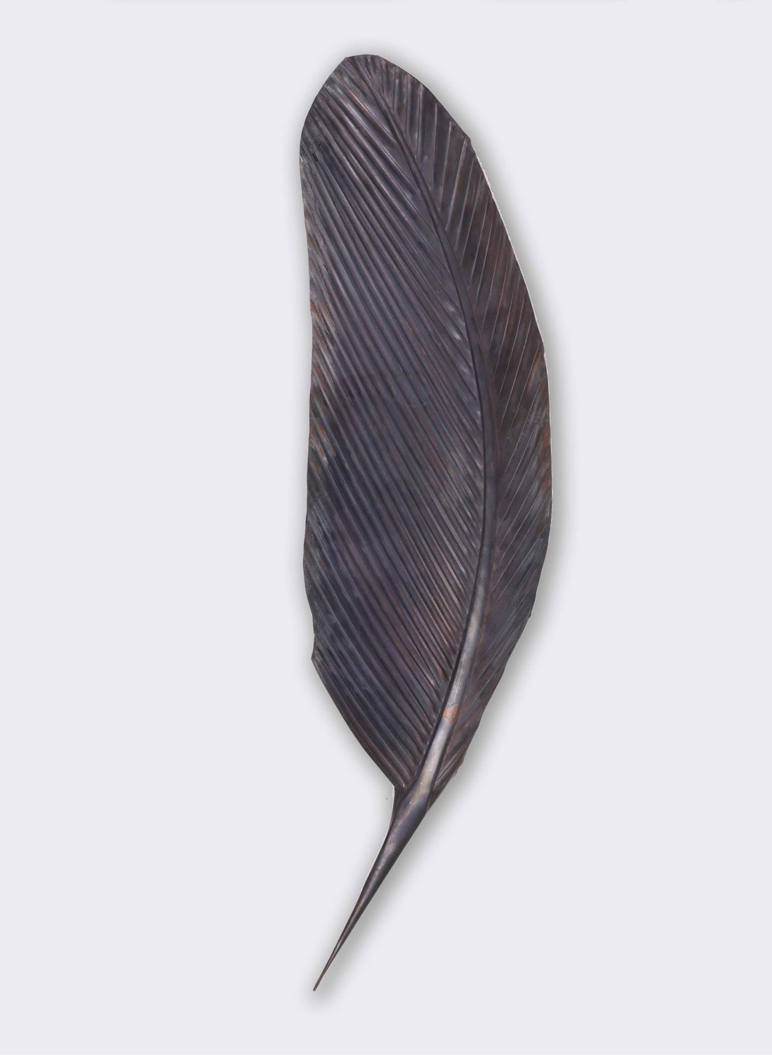 Tui Feather 603mm - Black Patina Copper