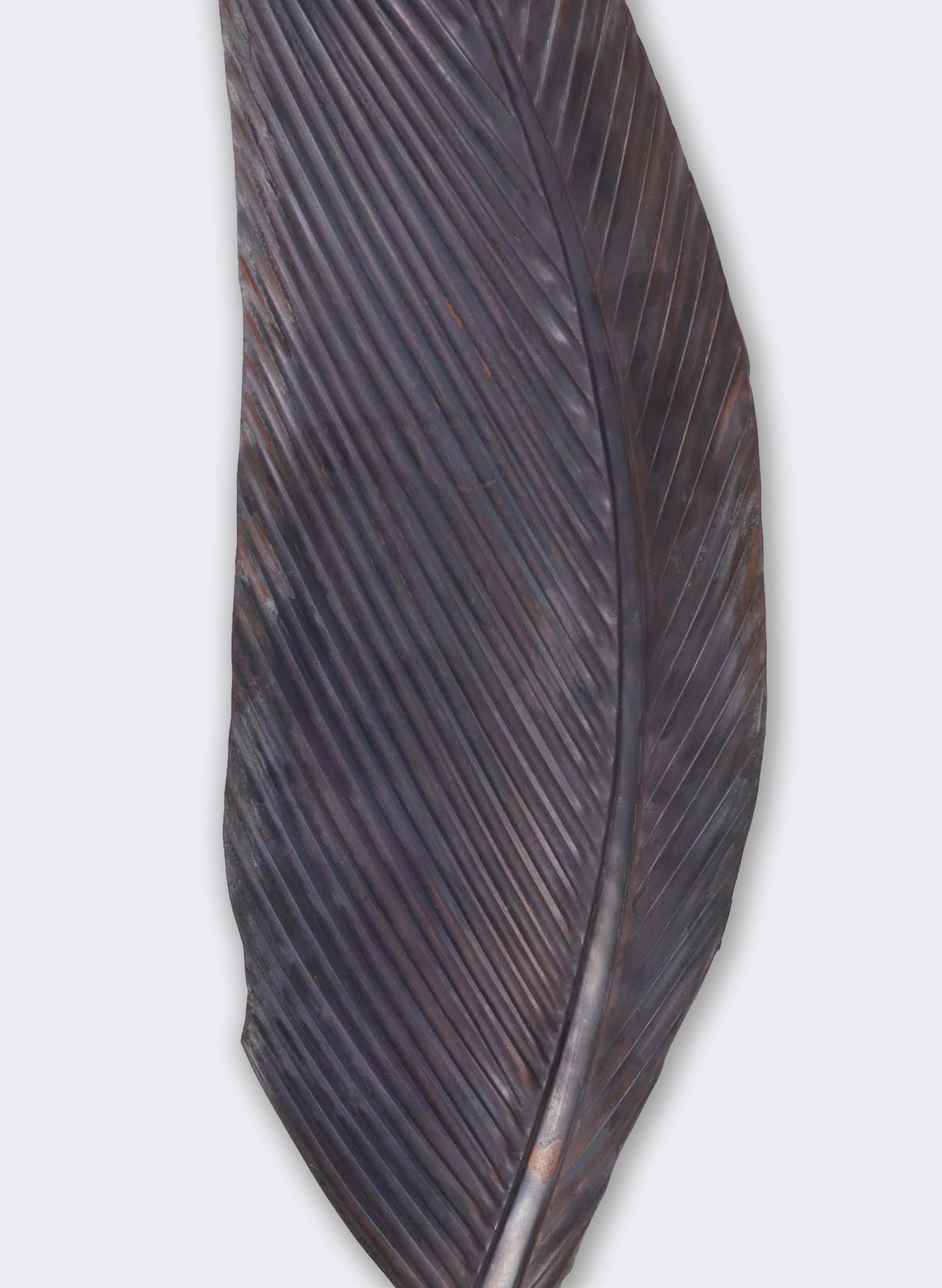 Tui Feather 603mm - Black Patina Copper