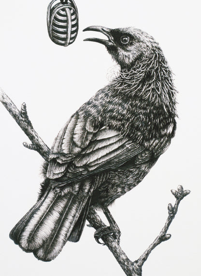 Tūī with Microphone - Giclée Print
