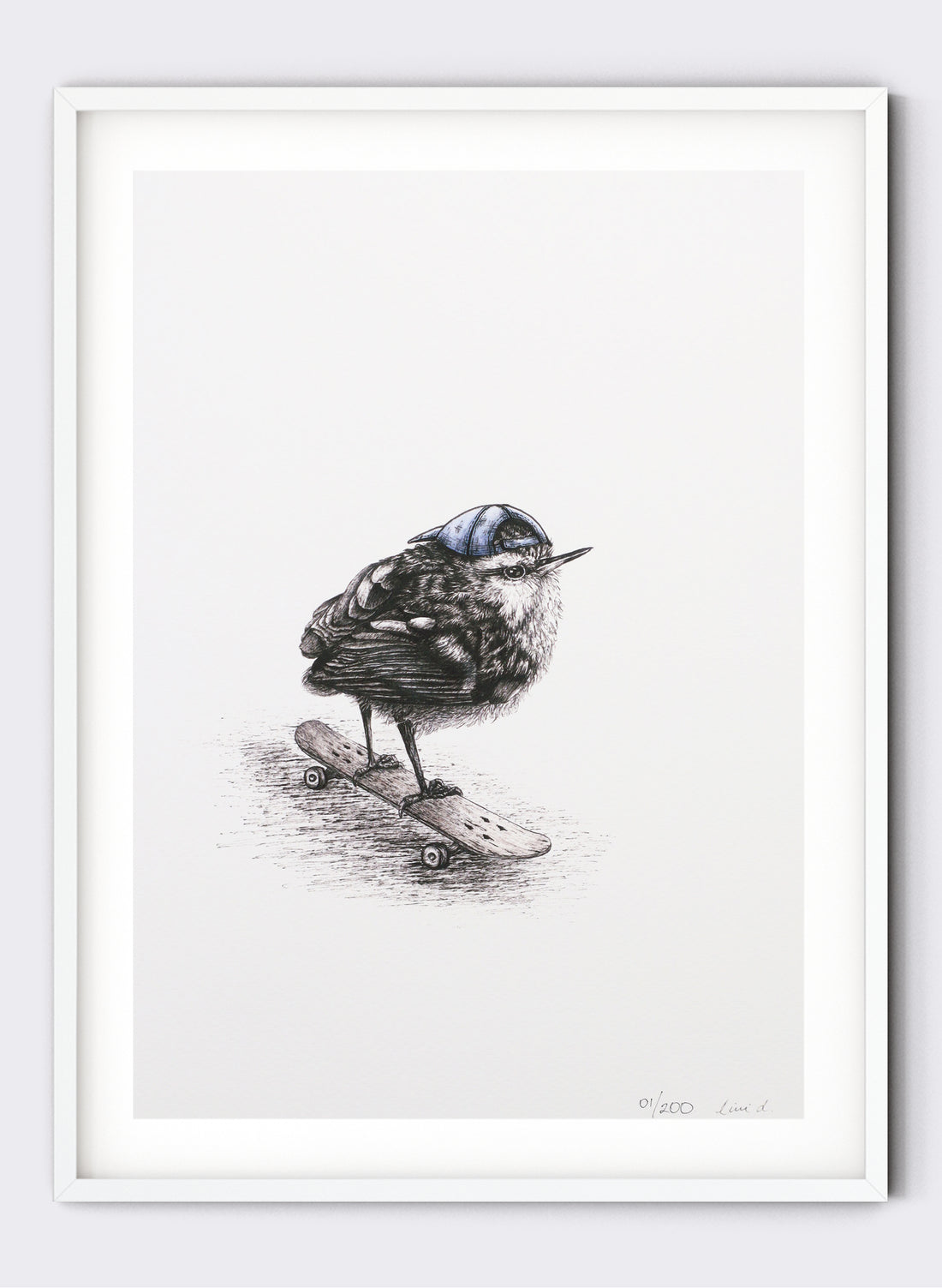 Rockwren on Skateboard - Giclée Print