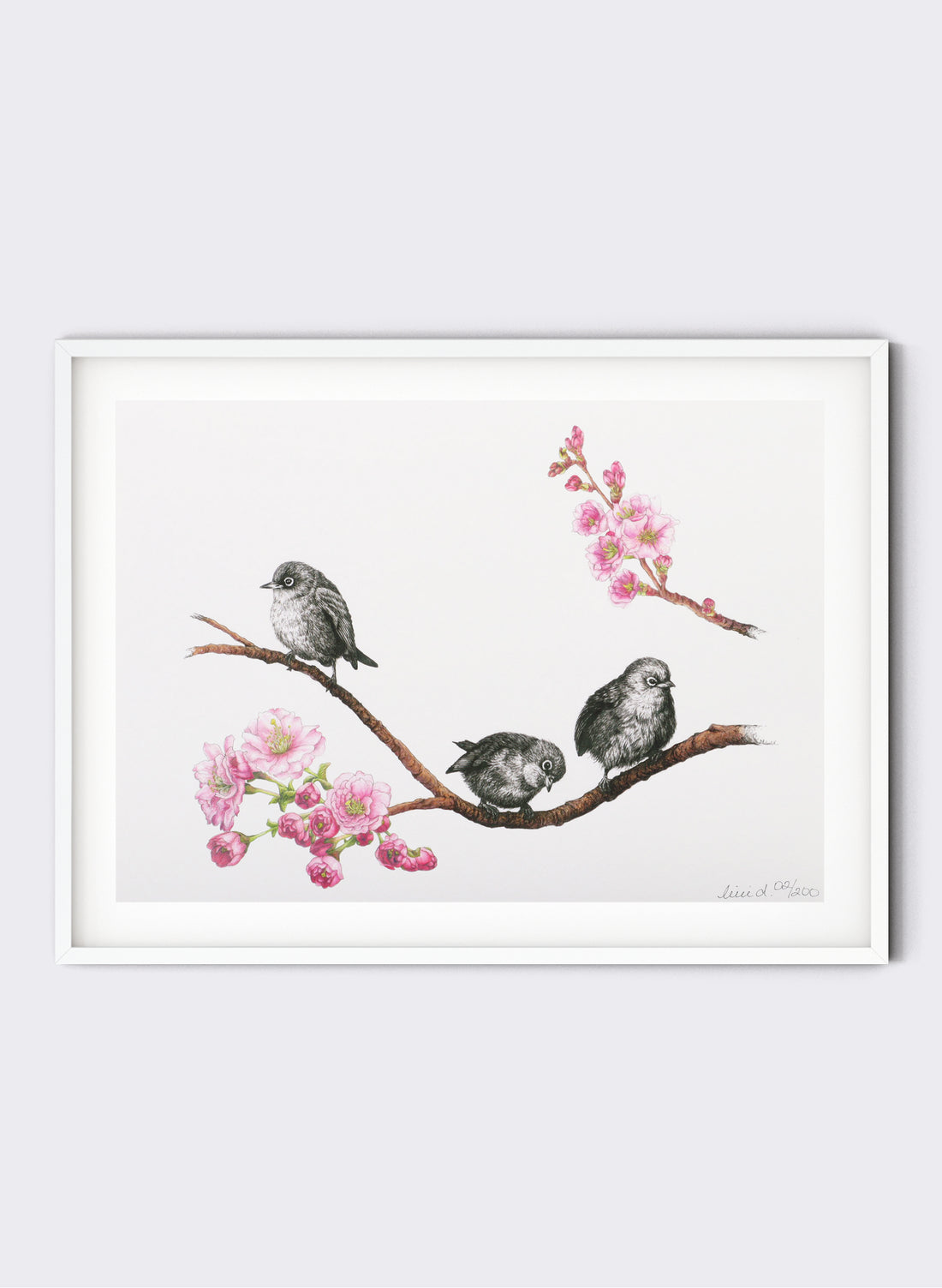 Waxeyes on Blossom Branch - Giclée Print