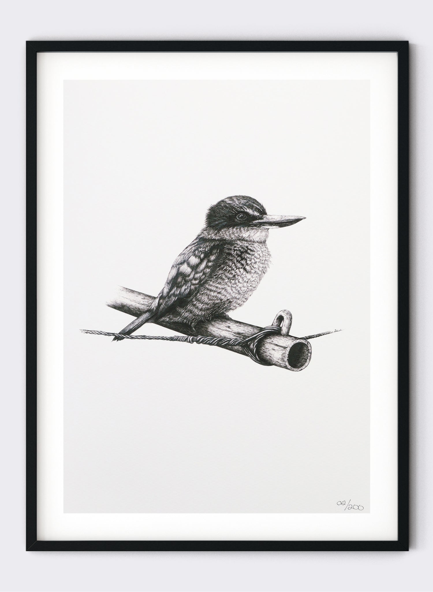 Kingfisher on Clothes Line - Giclée Print
