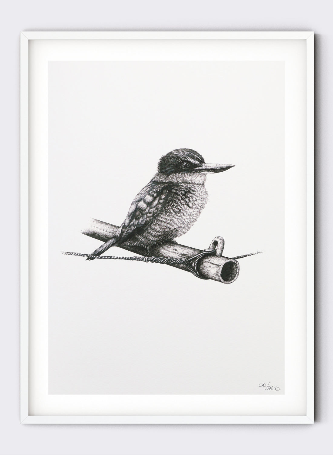 Kingfisher on Clothes Line - Giclée Print