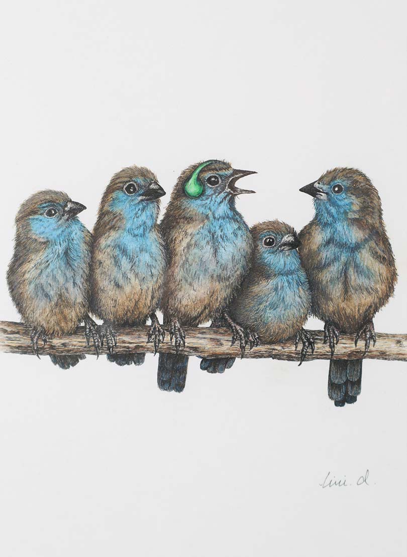 Original 5 BlueBirds - Original Artwork