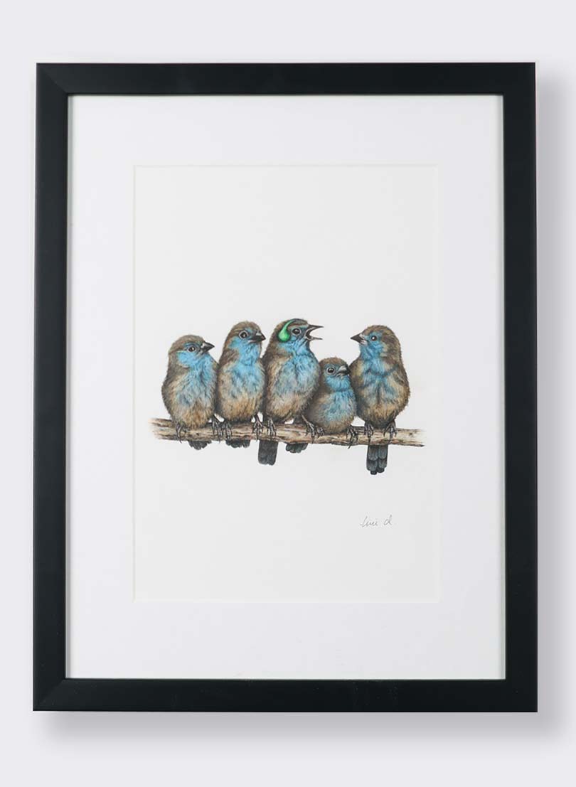 Original 5 BlueBirds - Original Artwork