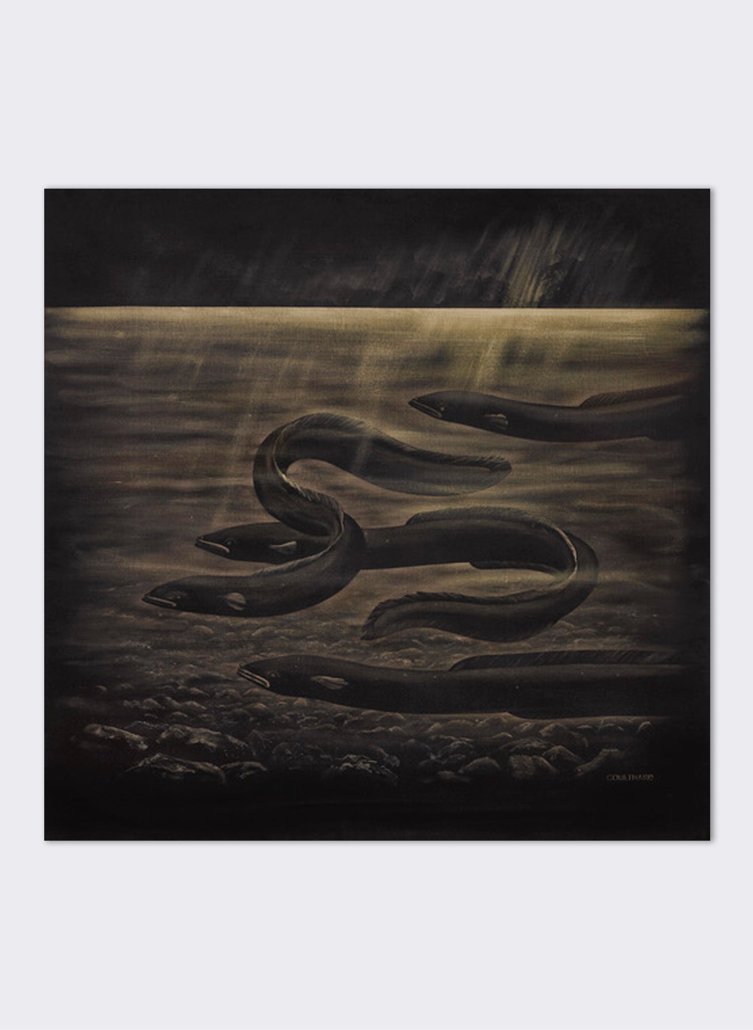 Four Eels - Giclée Print