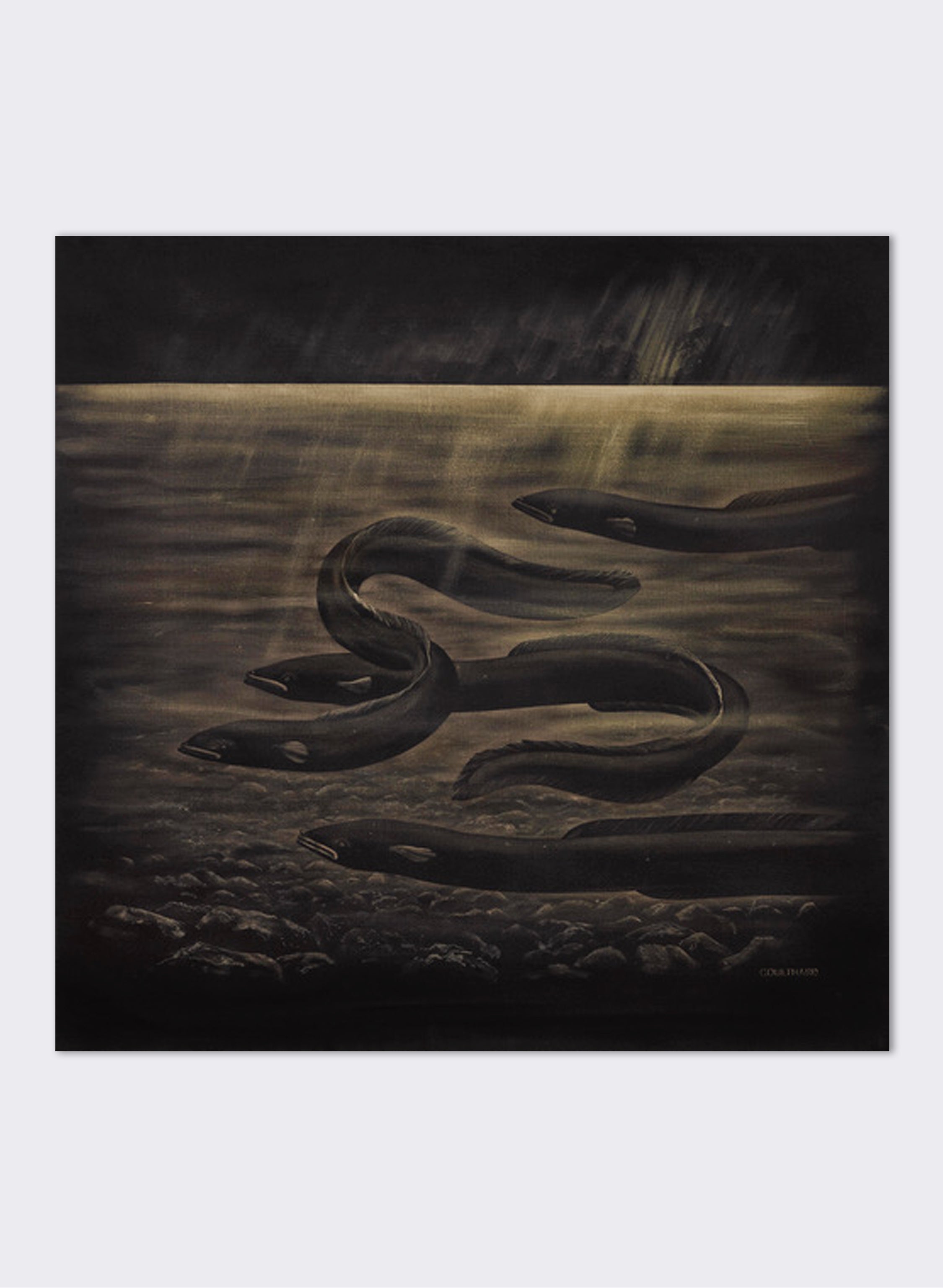 Four Eels - Giclée Print