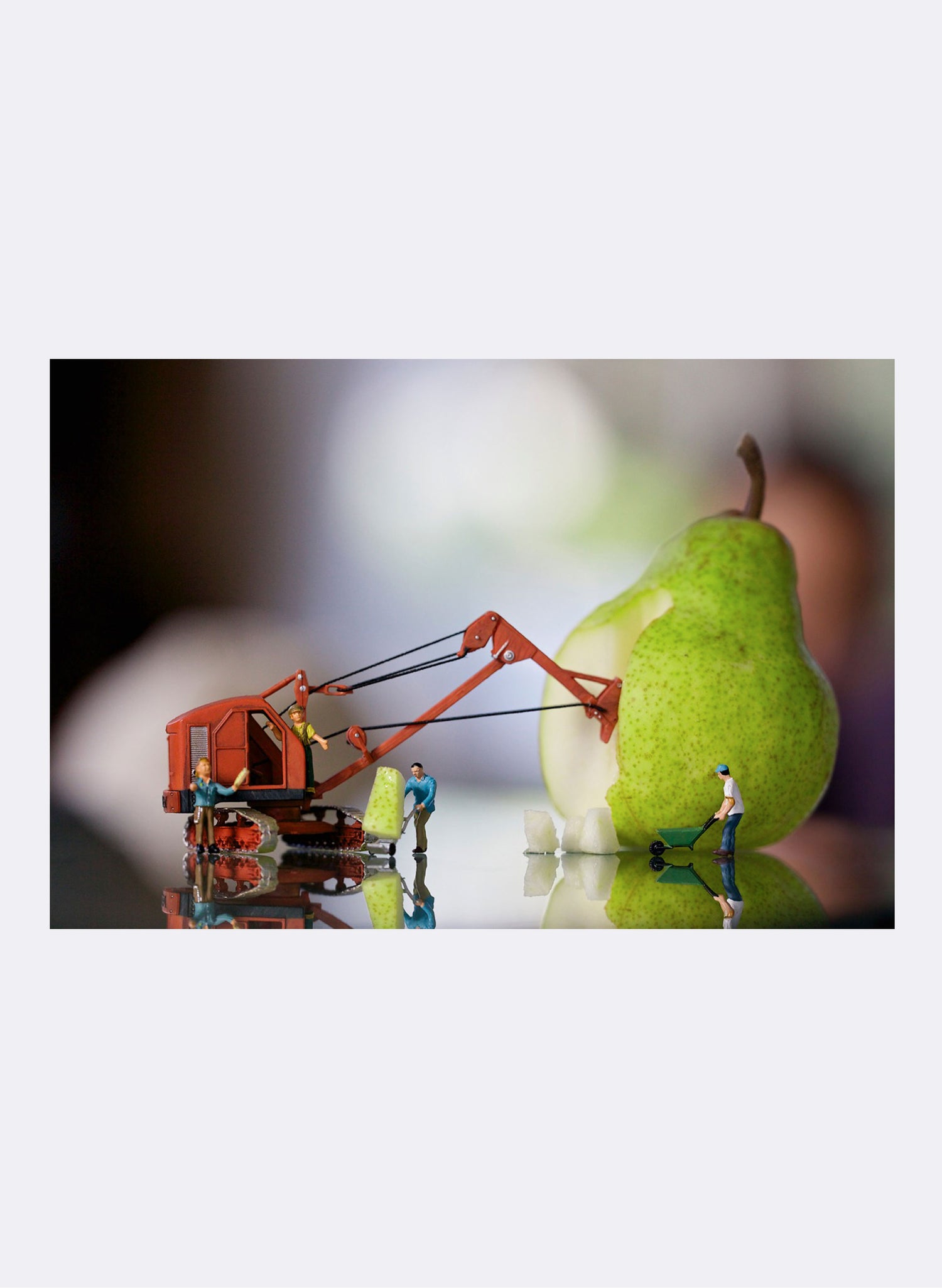 Pear &amp; A Small Team Of Experts - Photographic Print