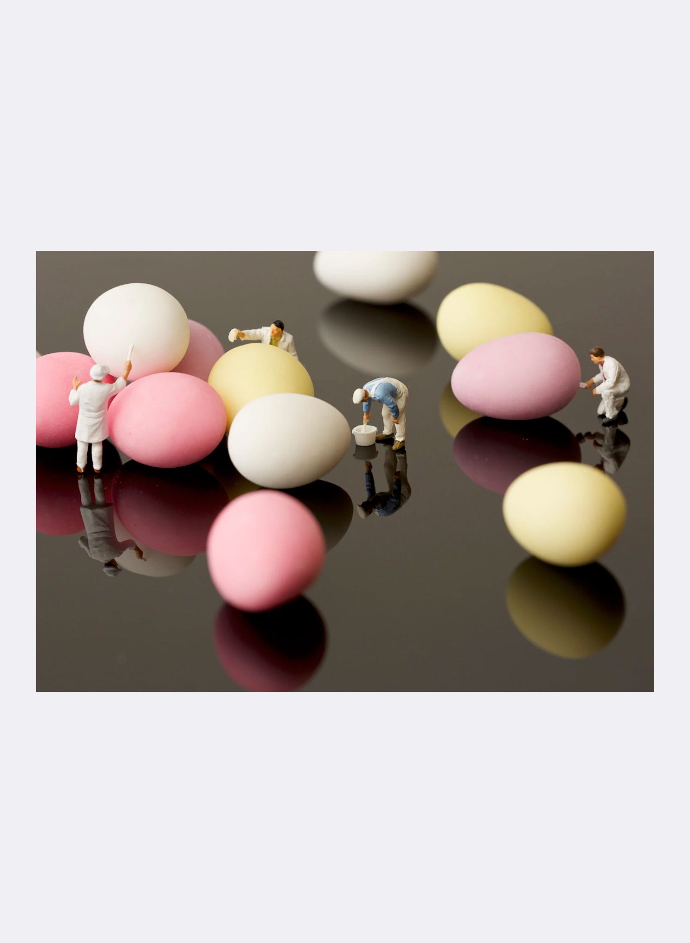 Eggsellent Work - Photographic Print