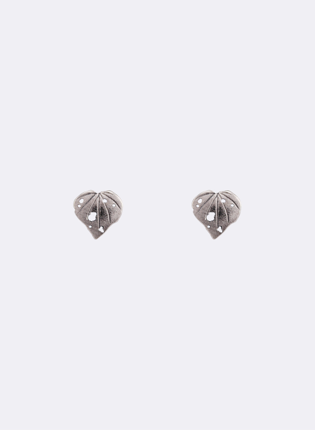 Kawakawa Studs