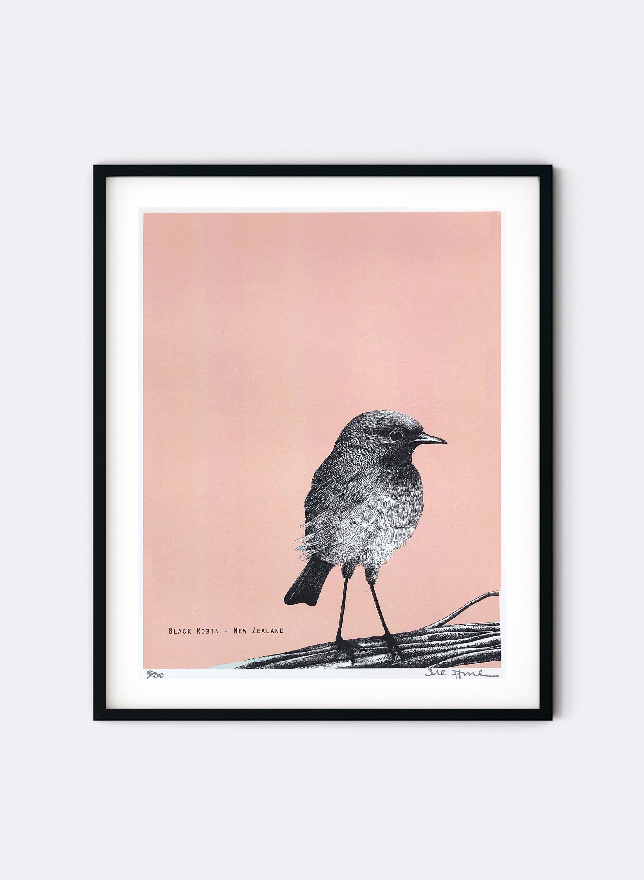 Black Robin (Pink) - Digital Print