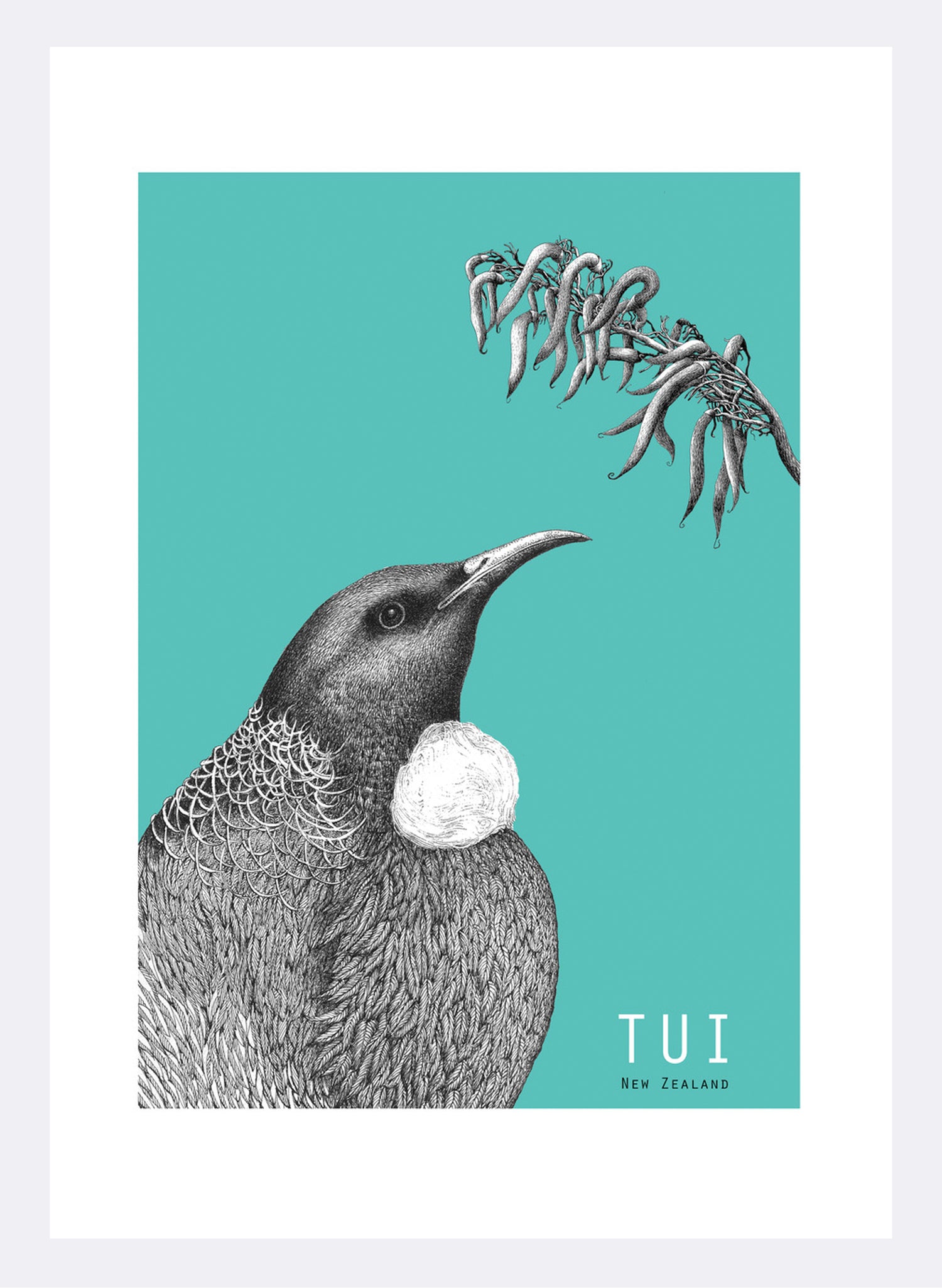 Tūī Print (Emerald) - Digital Print