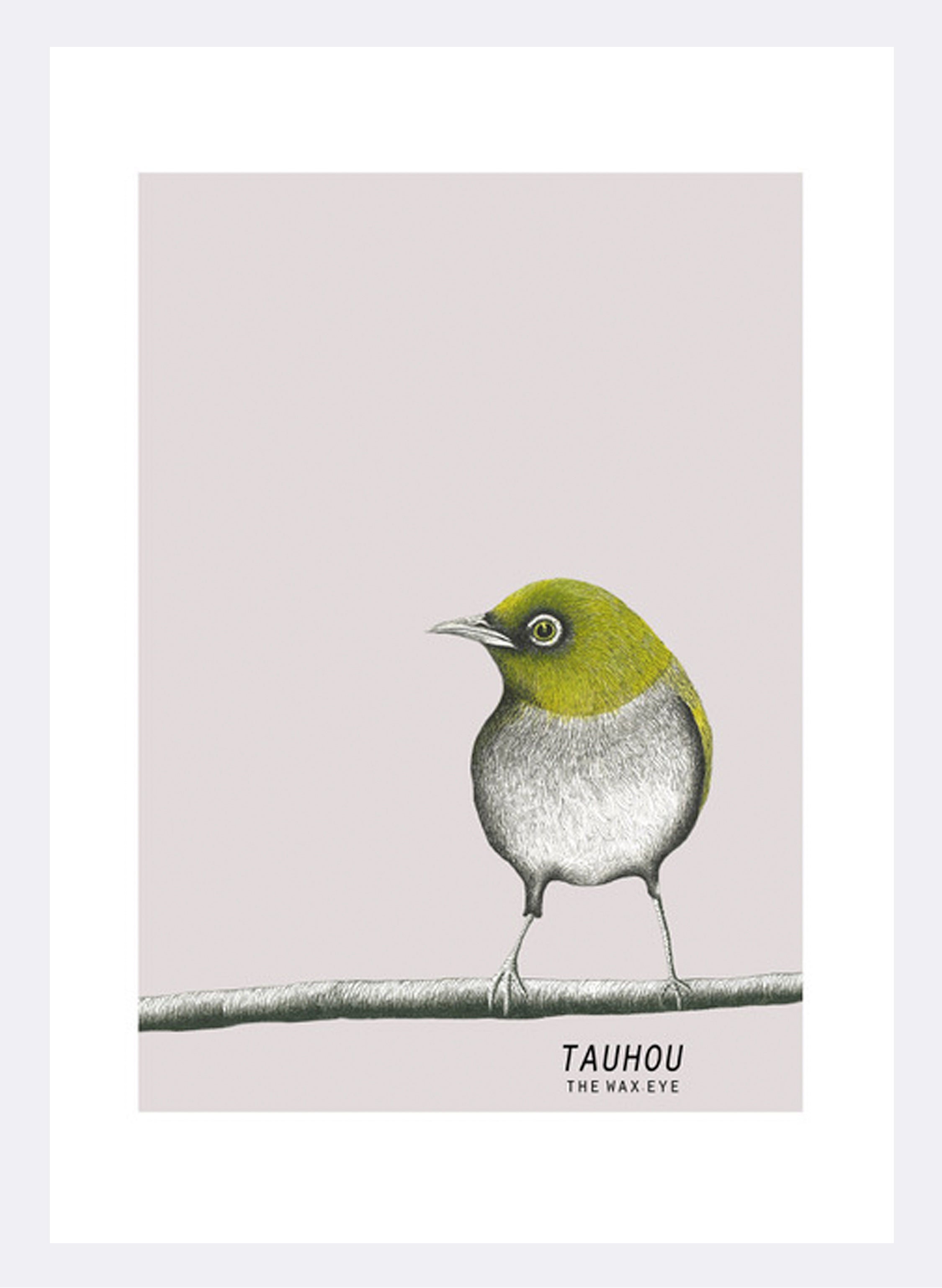 Tauhou | The Wax Eye - Digital Print
