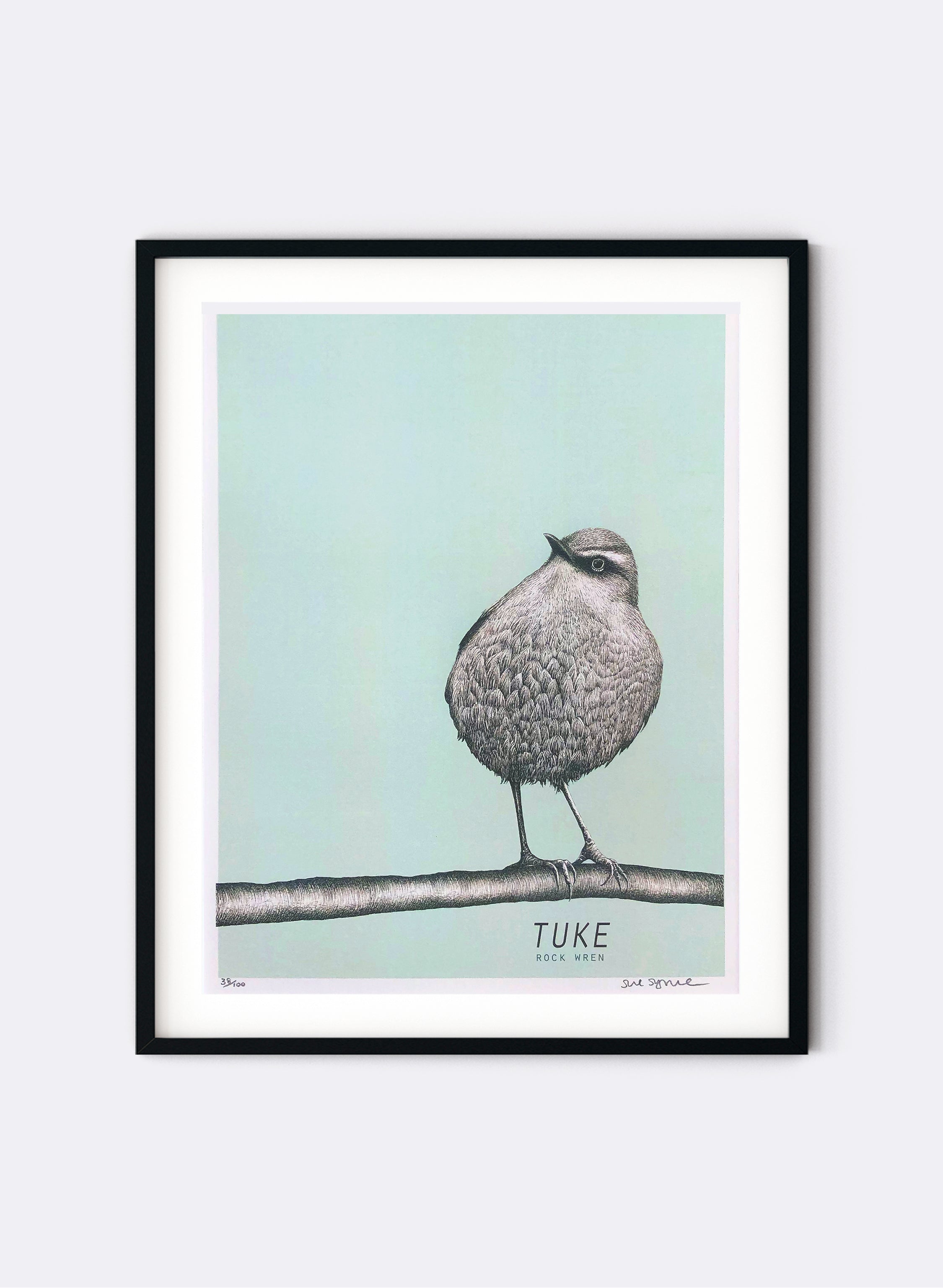 Tuke (Light Blue) - Rock Wren - Digital Print