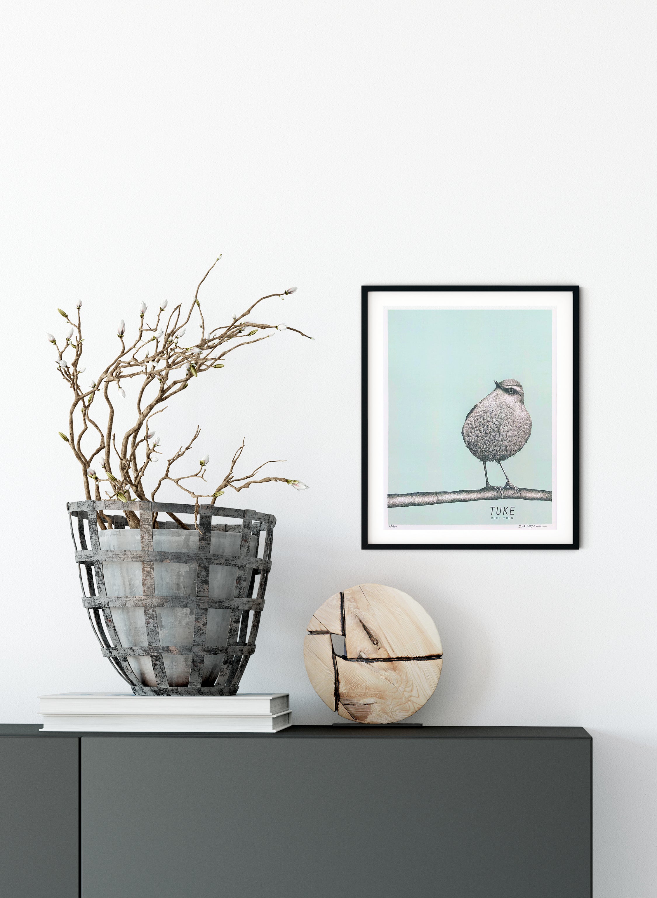 Tuke (Light Blue) - Rock Wren - Digital Print