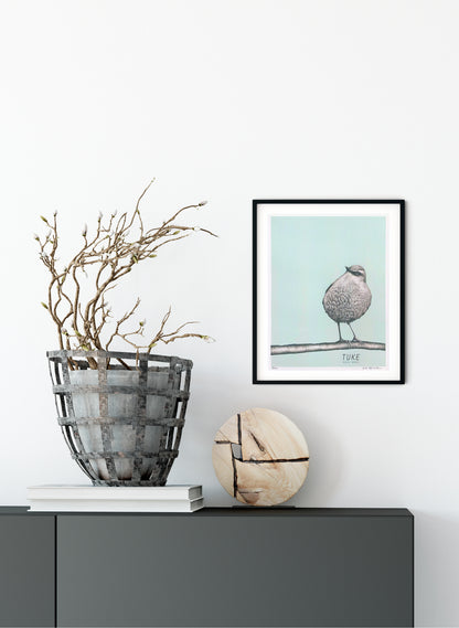 Tuke (Light Blue) - Rock Wren - Digital Print
