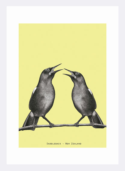 Saddleback - Digital Print